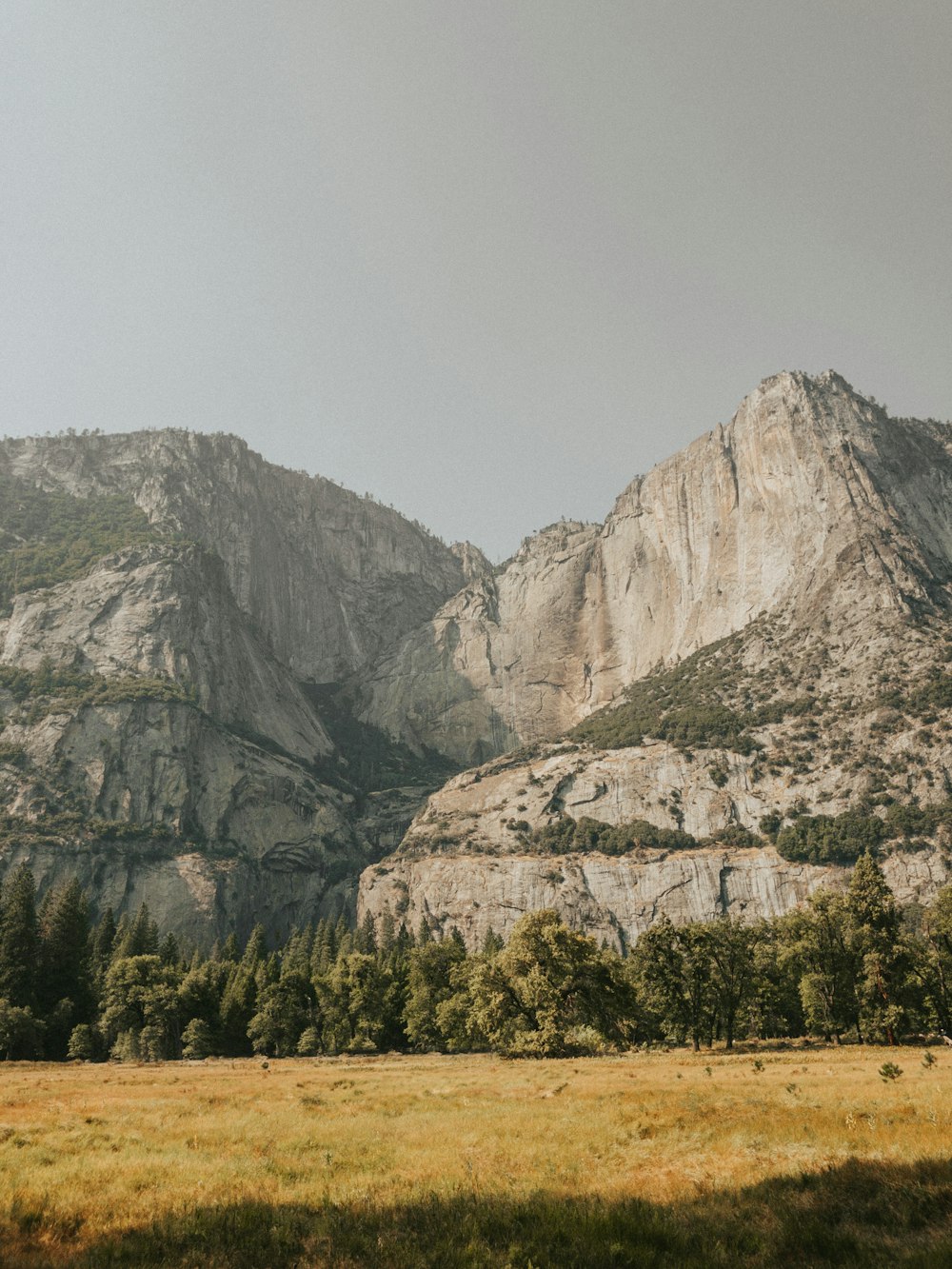 a mountain range with a few trees in the foreground