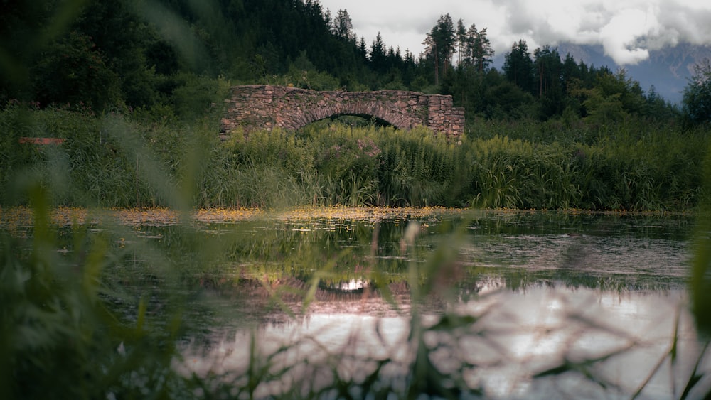 a lake with a bridge in the background