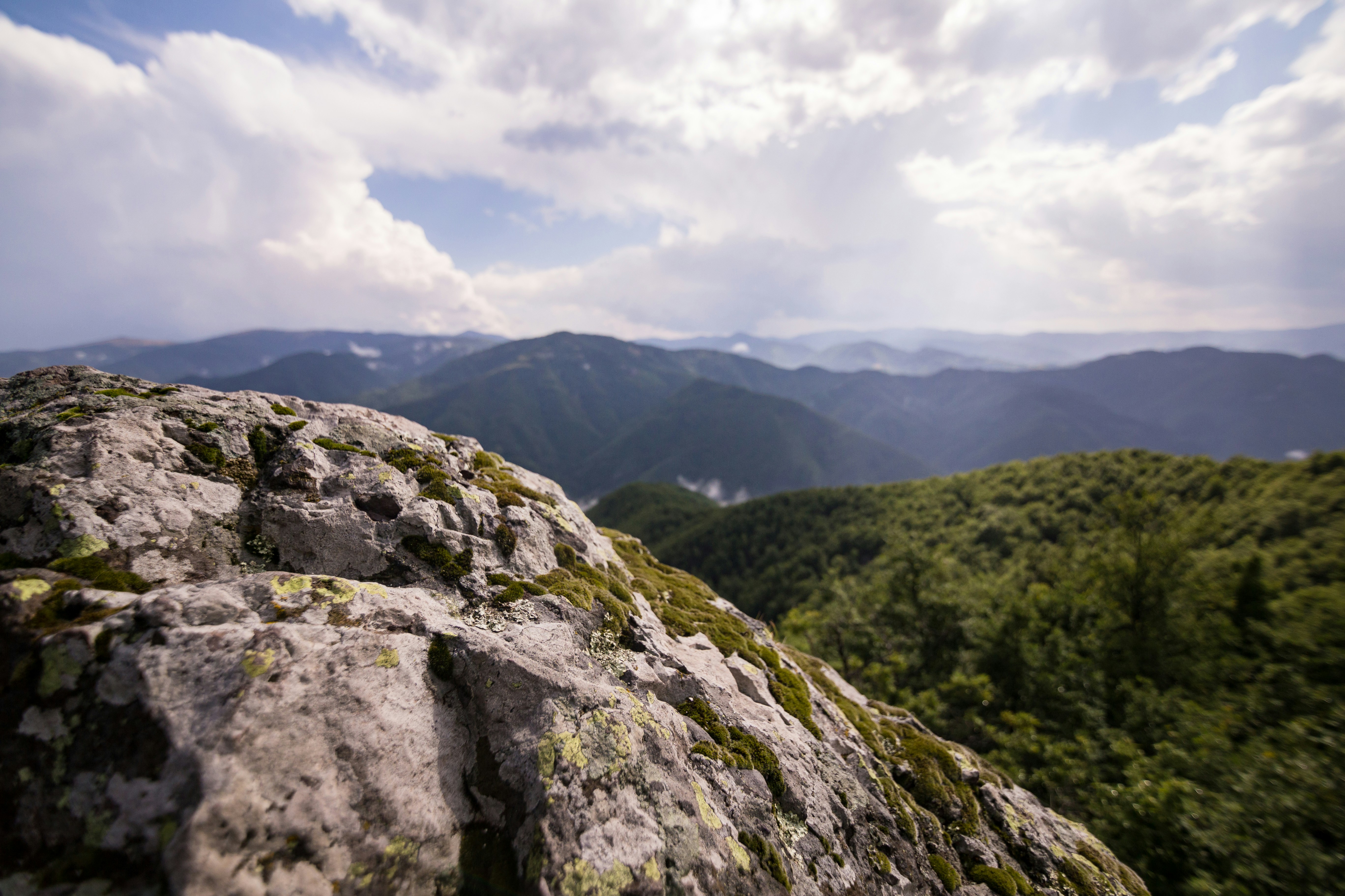 Photo by blooddrainer