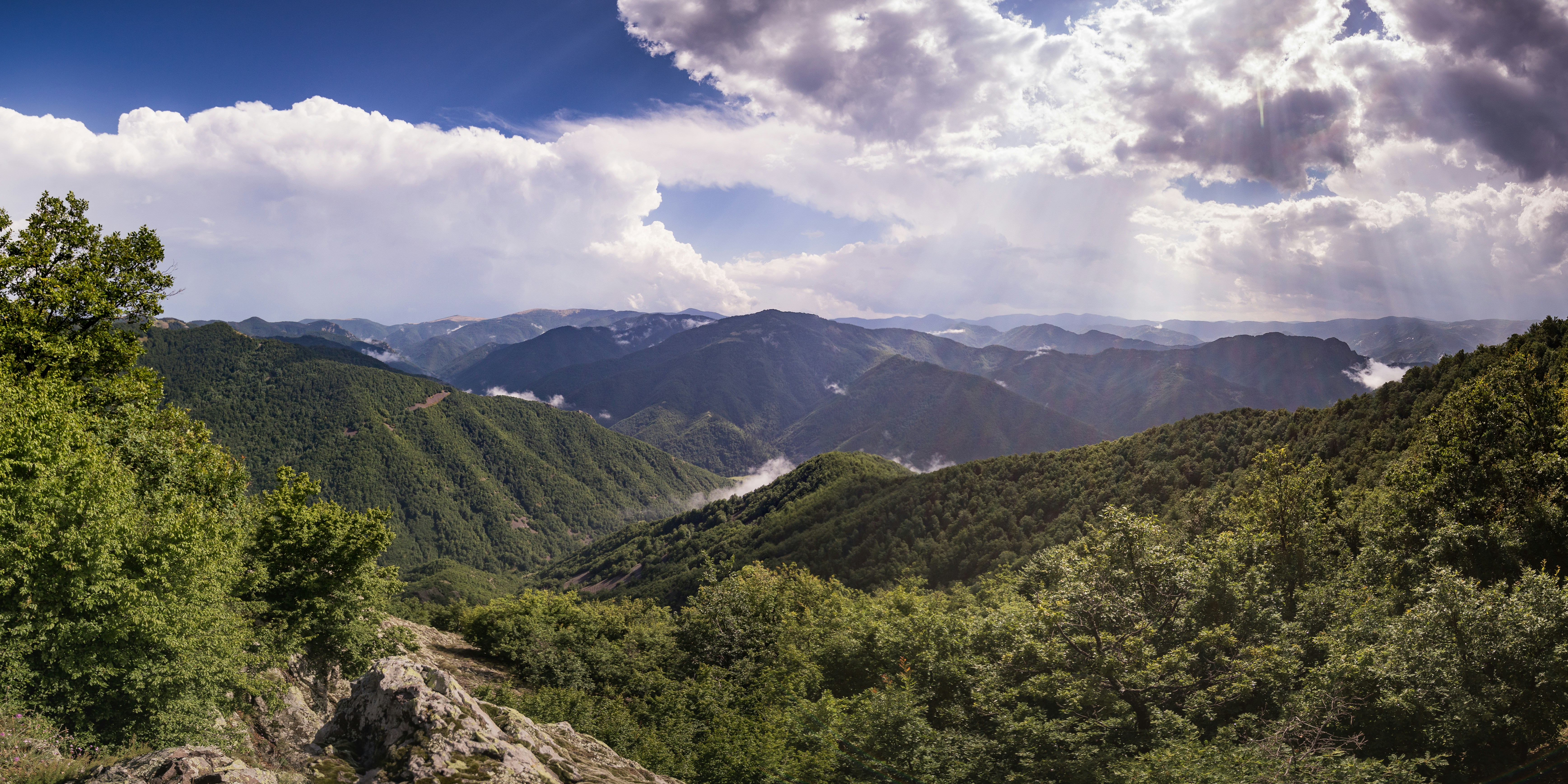 Photo by blooddrainer