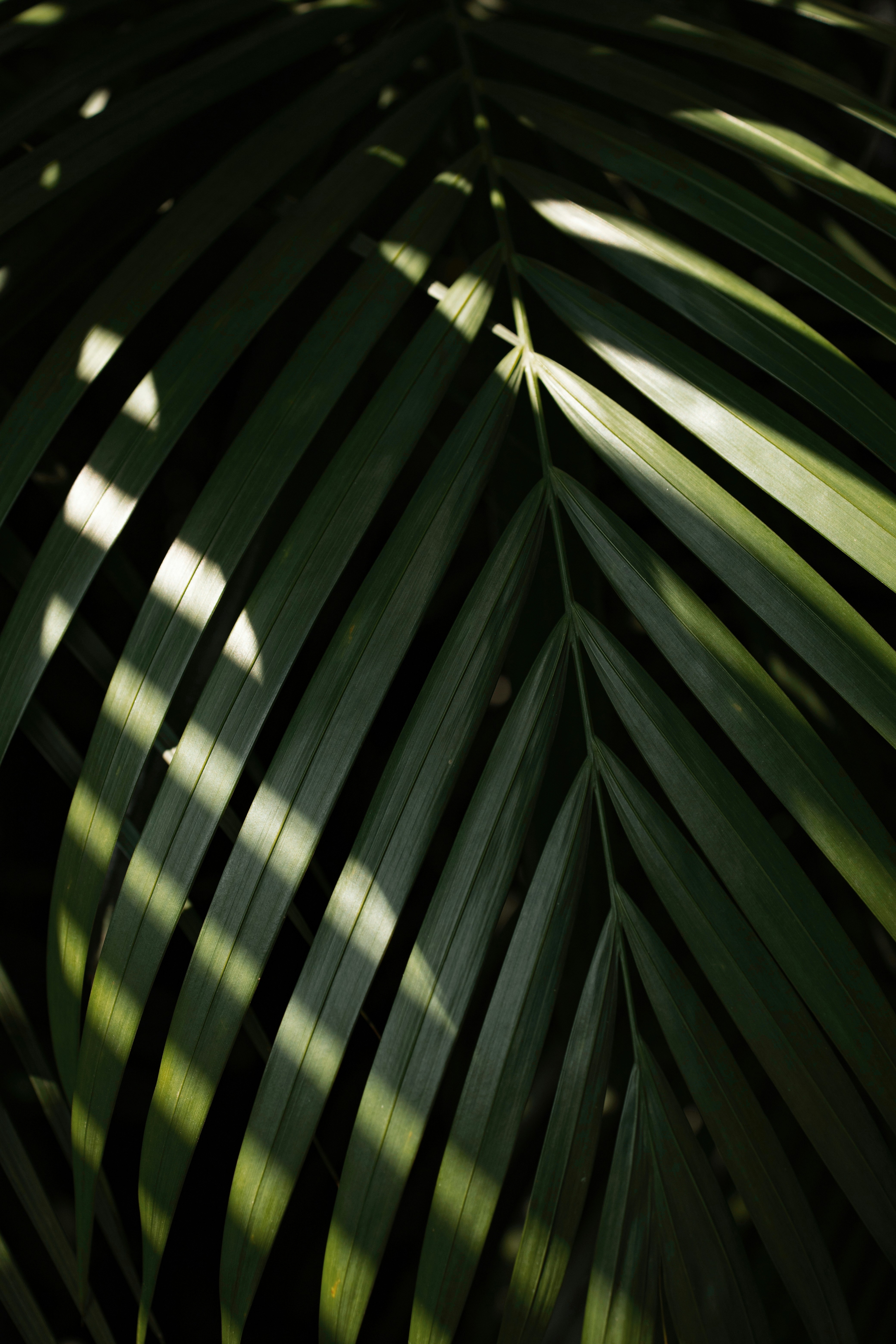 Photo by vinomamba24