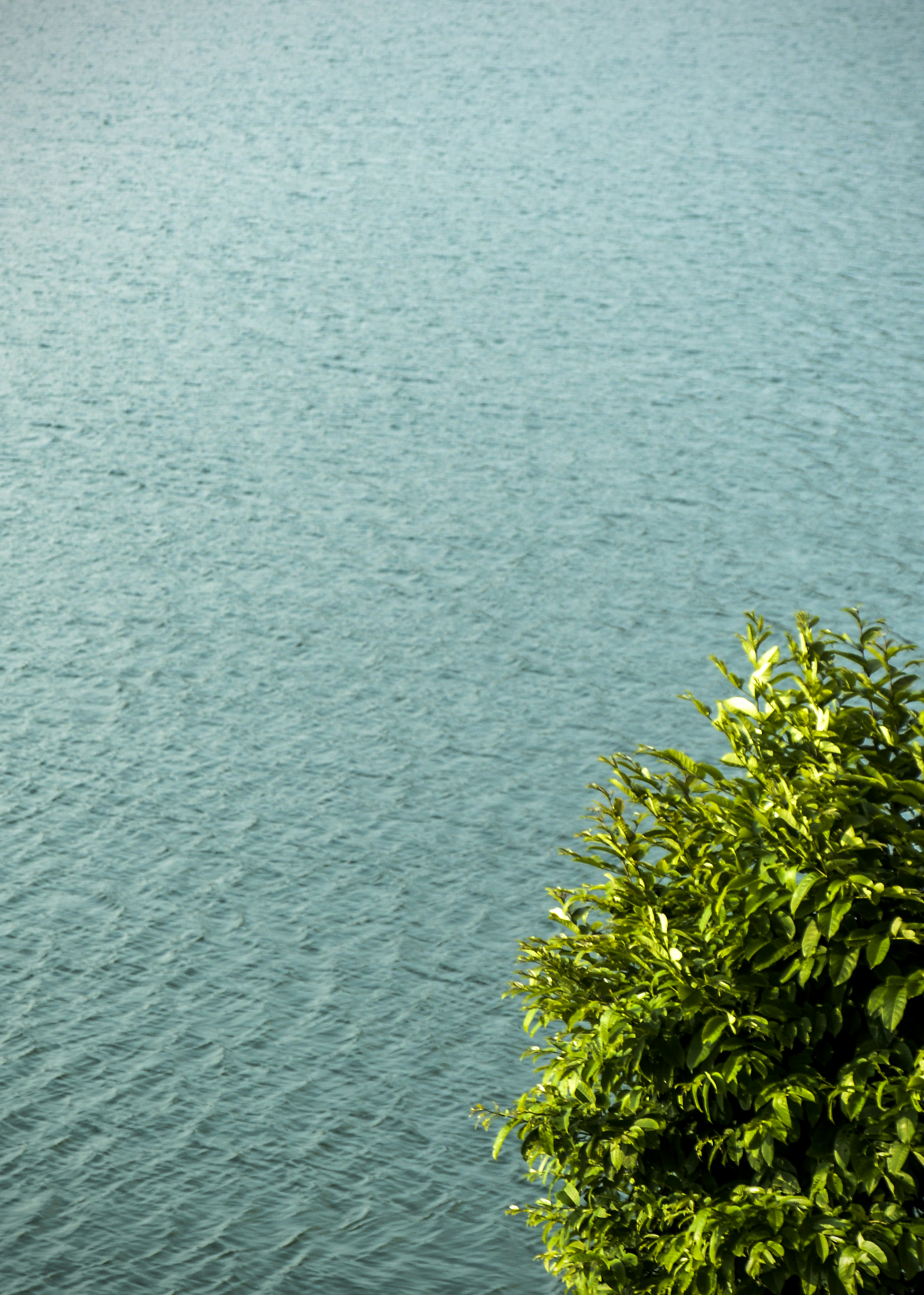 Photo by abhilashbalakrishnan97