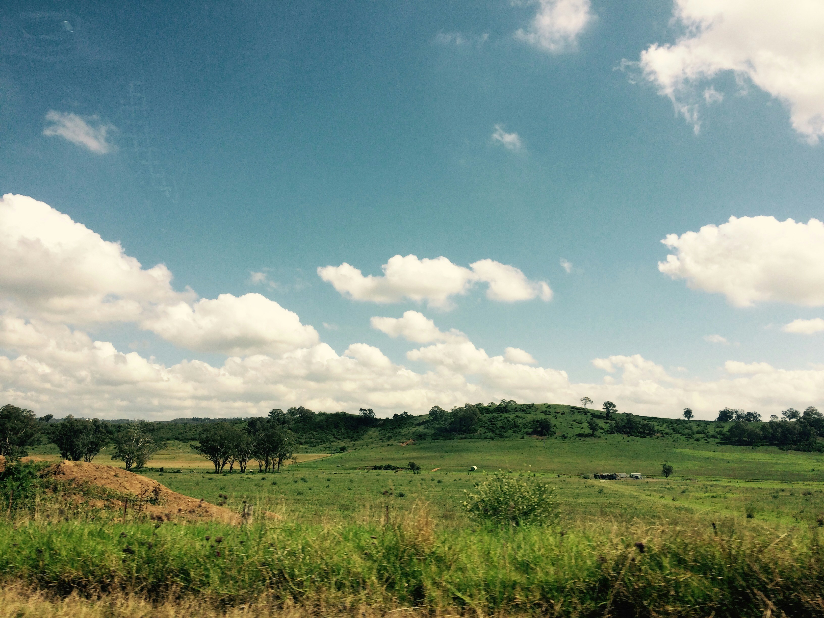 a grassy field with a hill in the background