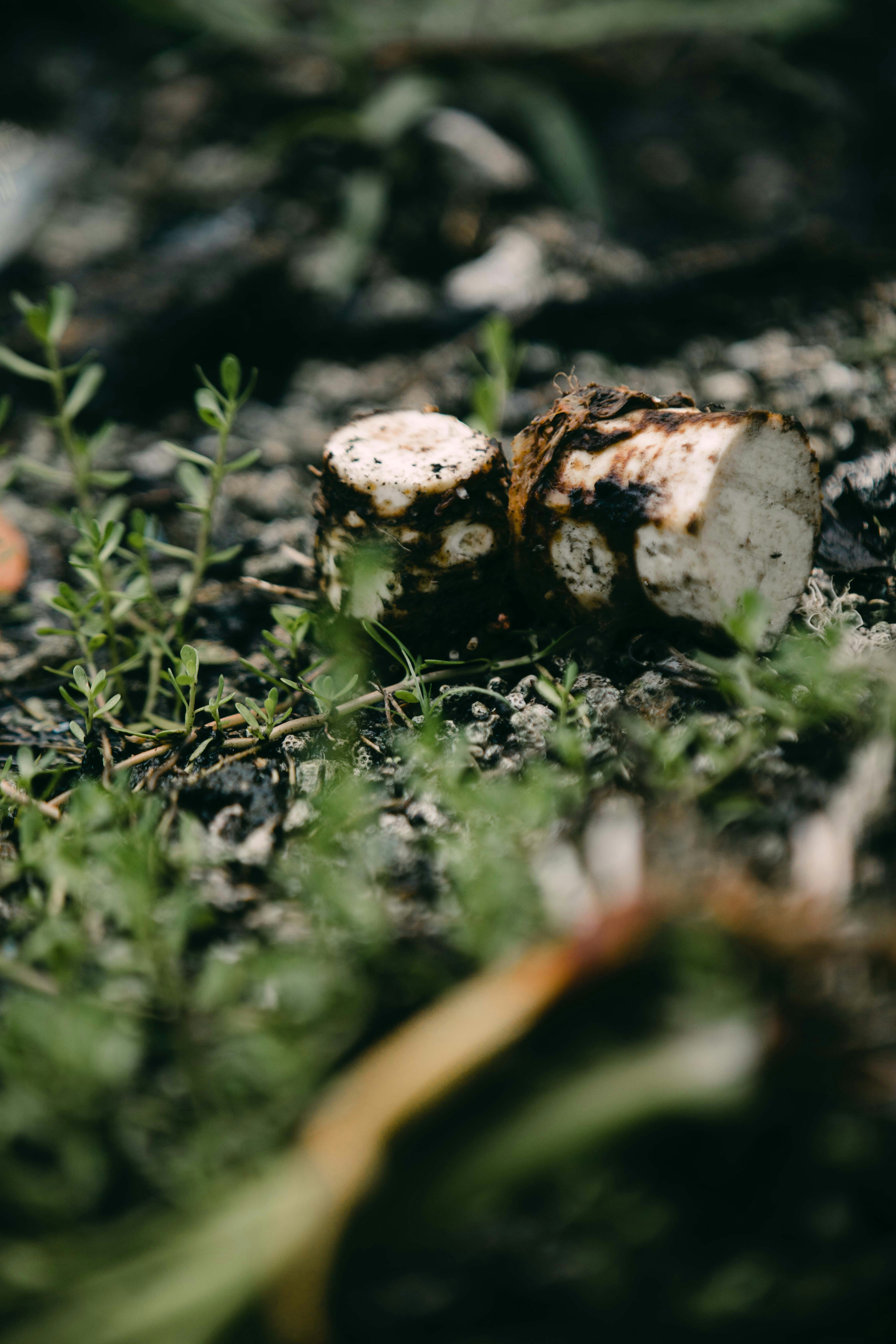 Photo by maahidphotos