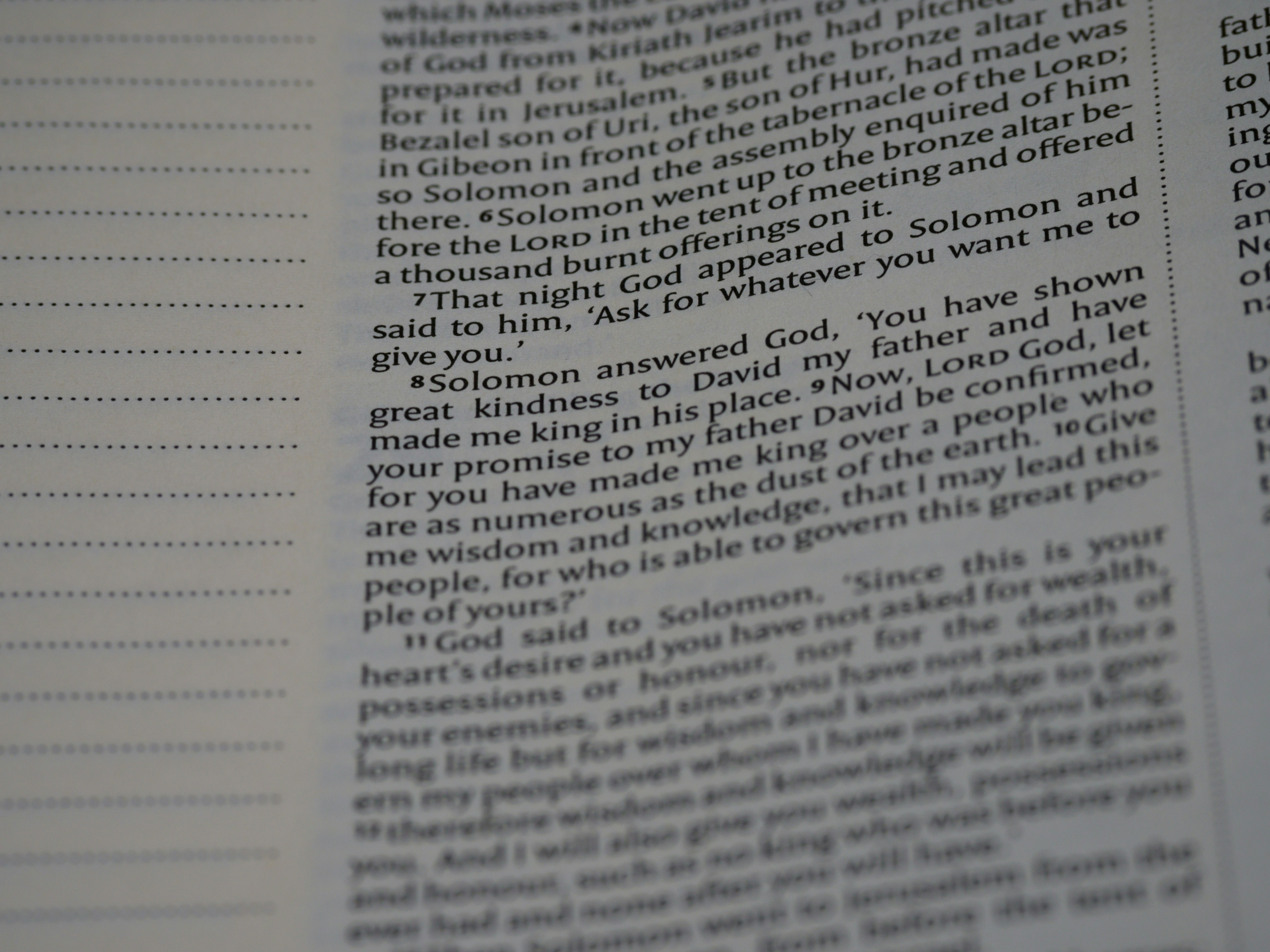 Photo by brett_jordan