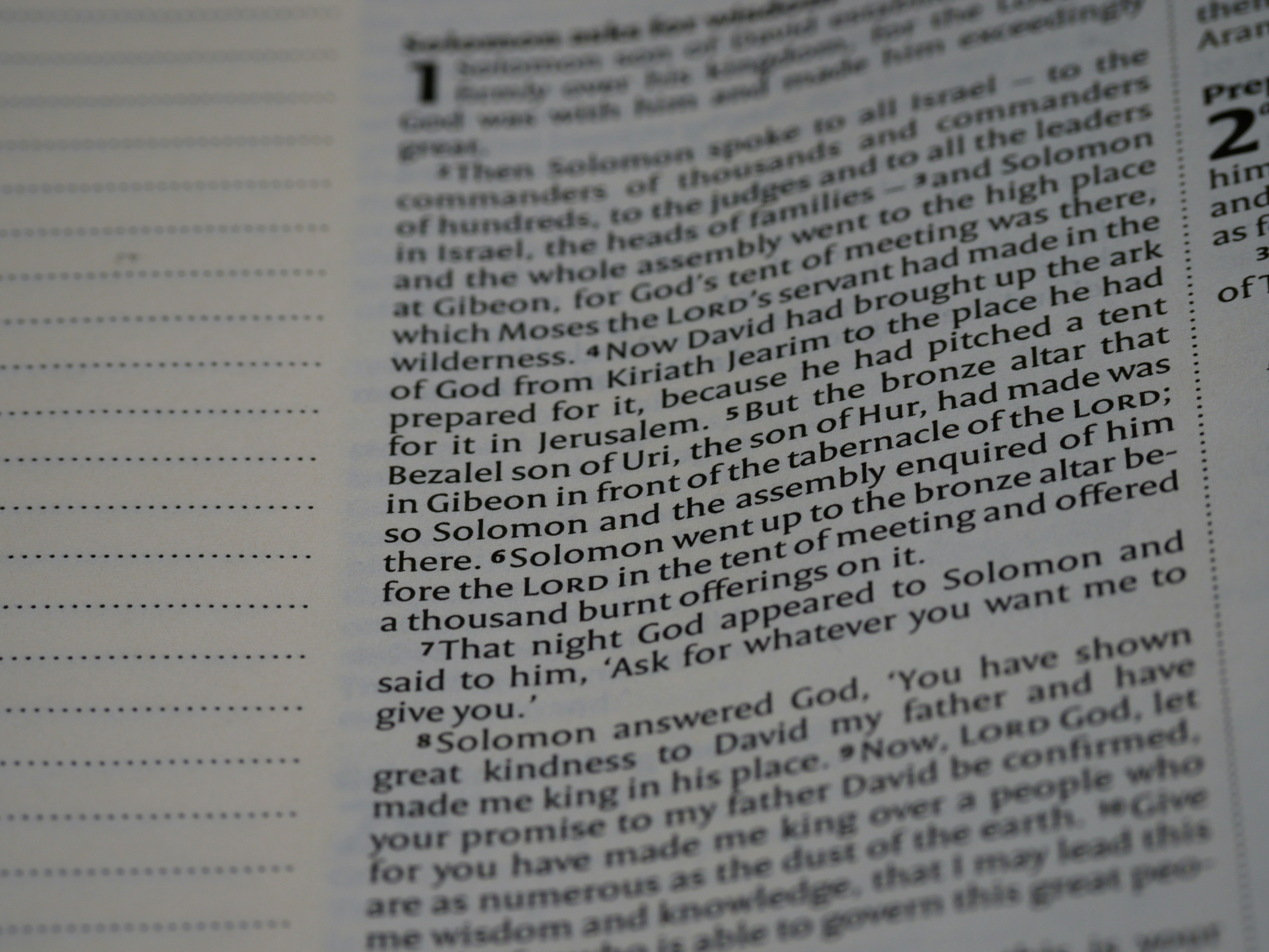 Photo by brett_jordan