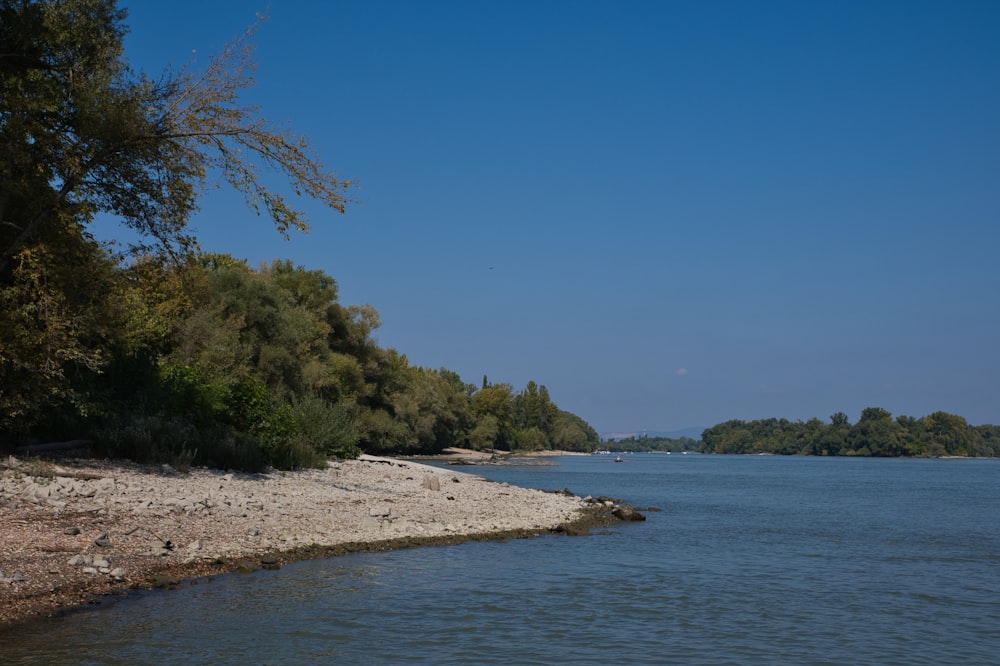 a body of water surrounded by trees and rocks