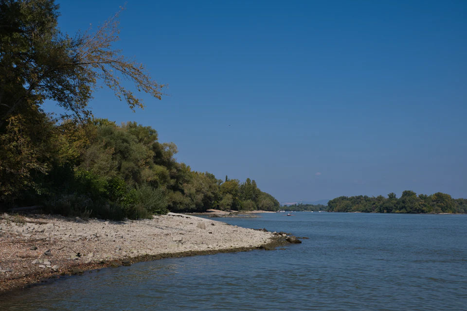 The image depicts a serene lake surrounded by lush greenery, including trees and bushes on both sides. The calm water reflects the clear blue sky above, creating a tranquil atmosphere. A small island can be seen in the middle of the lake, adding to the natural beauty of the scene. The perspective is from the shoreline, looking out towards the water, providing a sense of depth and vastness to the landscape.