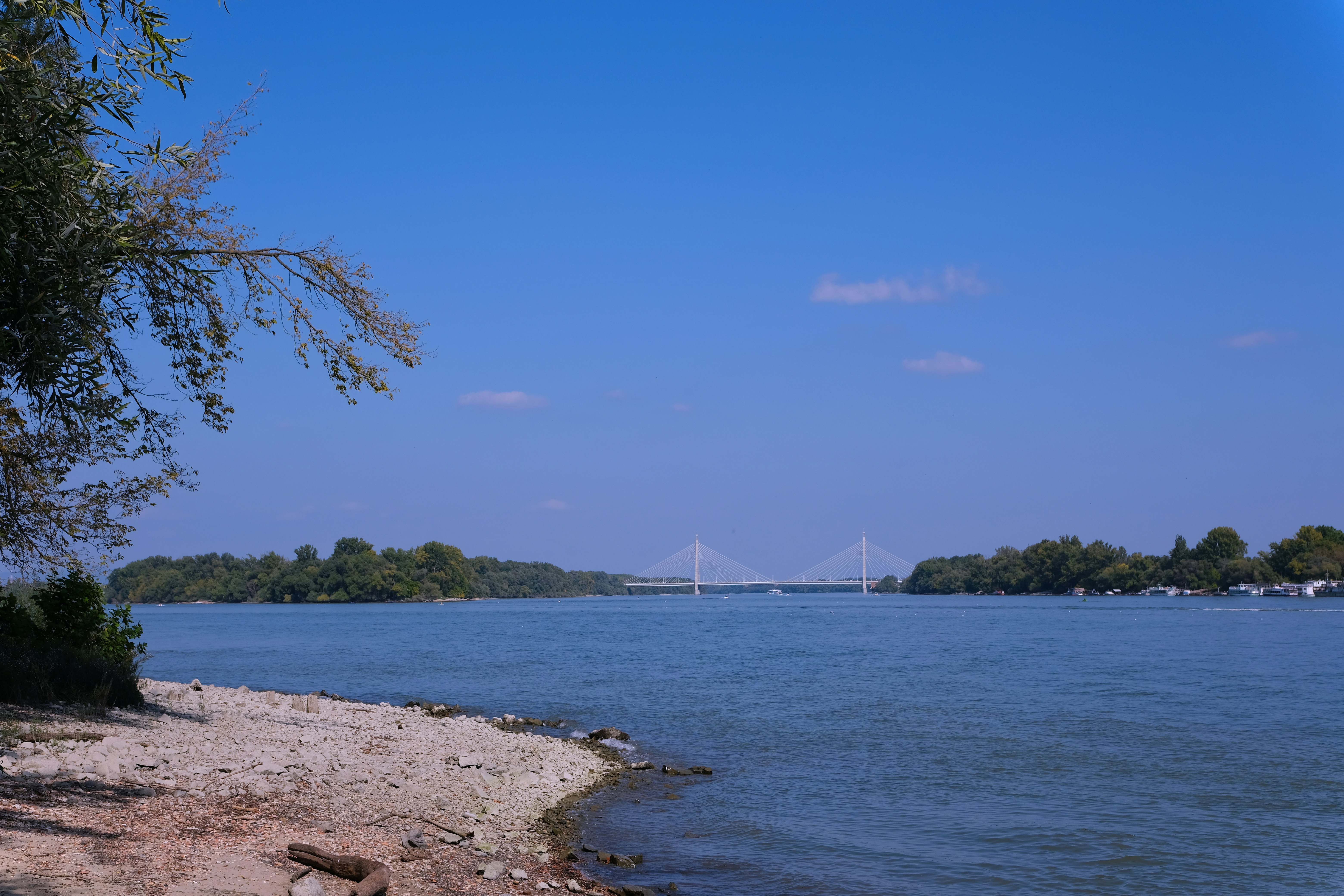 a body of water with a bridge in the background, 