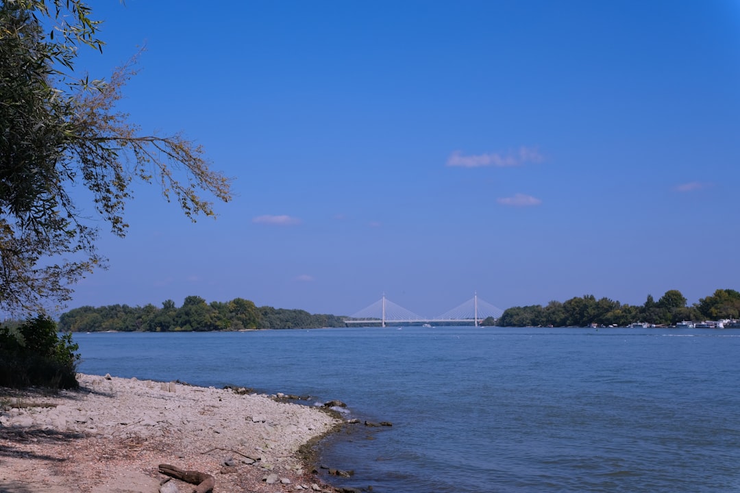 a body of water with a bridge in the background,