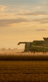 a combine of grain being harvested in a field