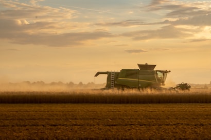 a combine of grain being harvested in a field