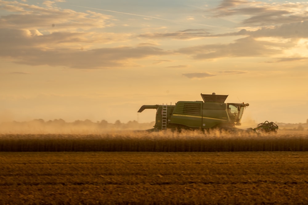 a combine of grain being harvested in a field