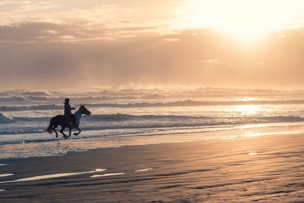 una persona montando a caballo en la playa