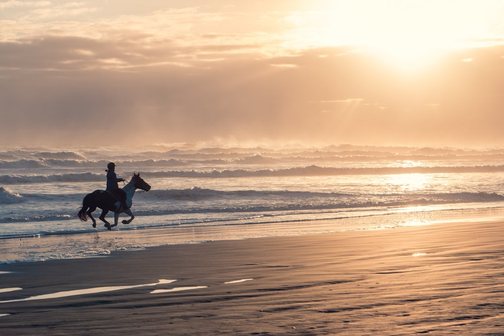 a person riding a horse on the beach