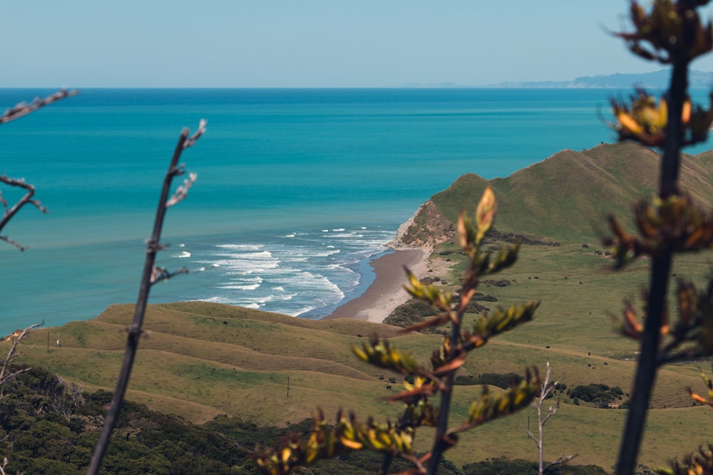 a view of the ocean from the top of a hill