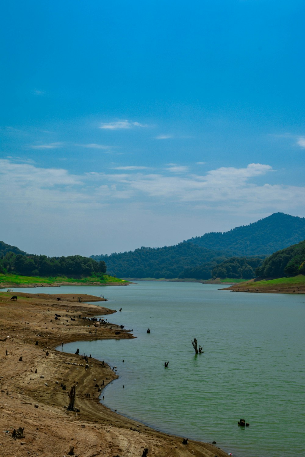 a body of water surrounded by hills and trees