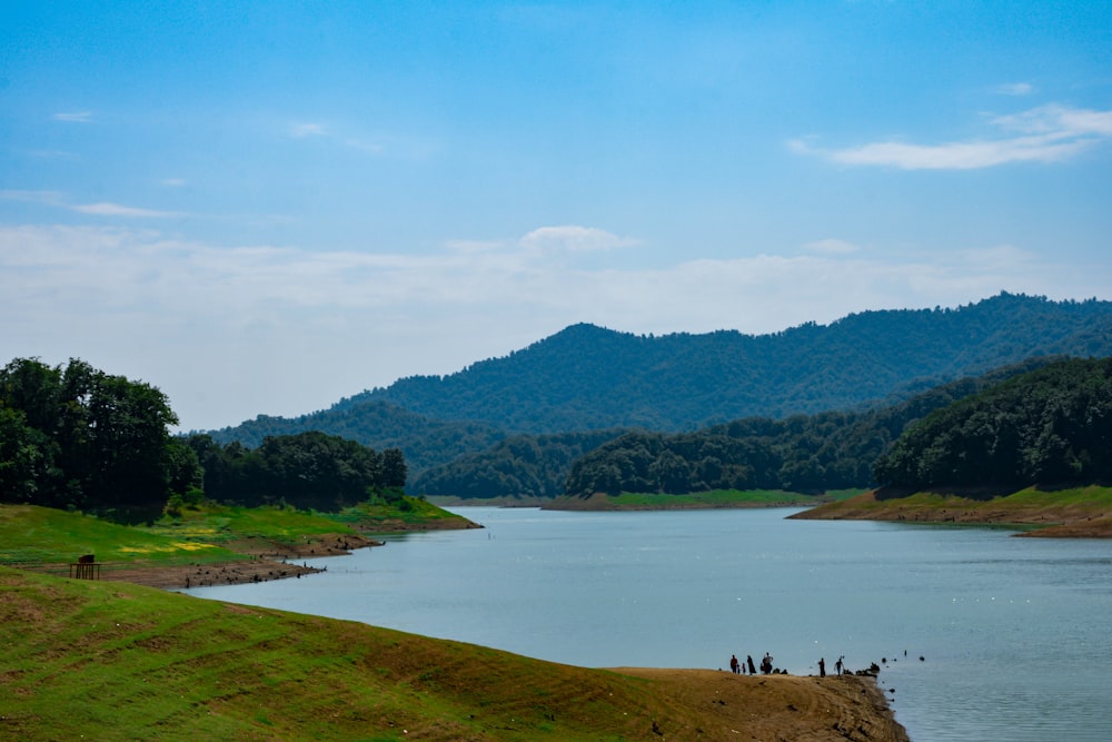 a body of water surrounded by a lush green hillside