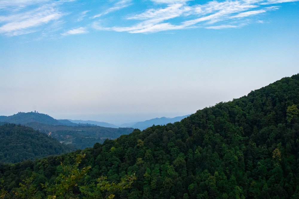 une vue panoramique d’une zone boisée avec des montagnes au loin