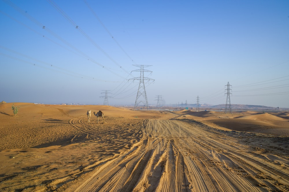 a dirt road in the middle of a desert