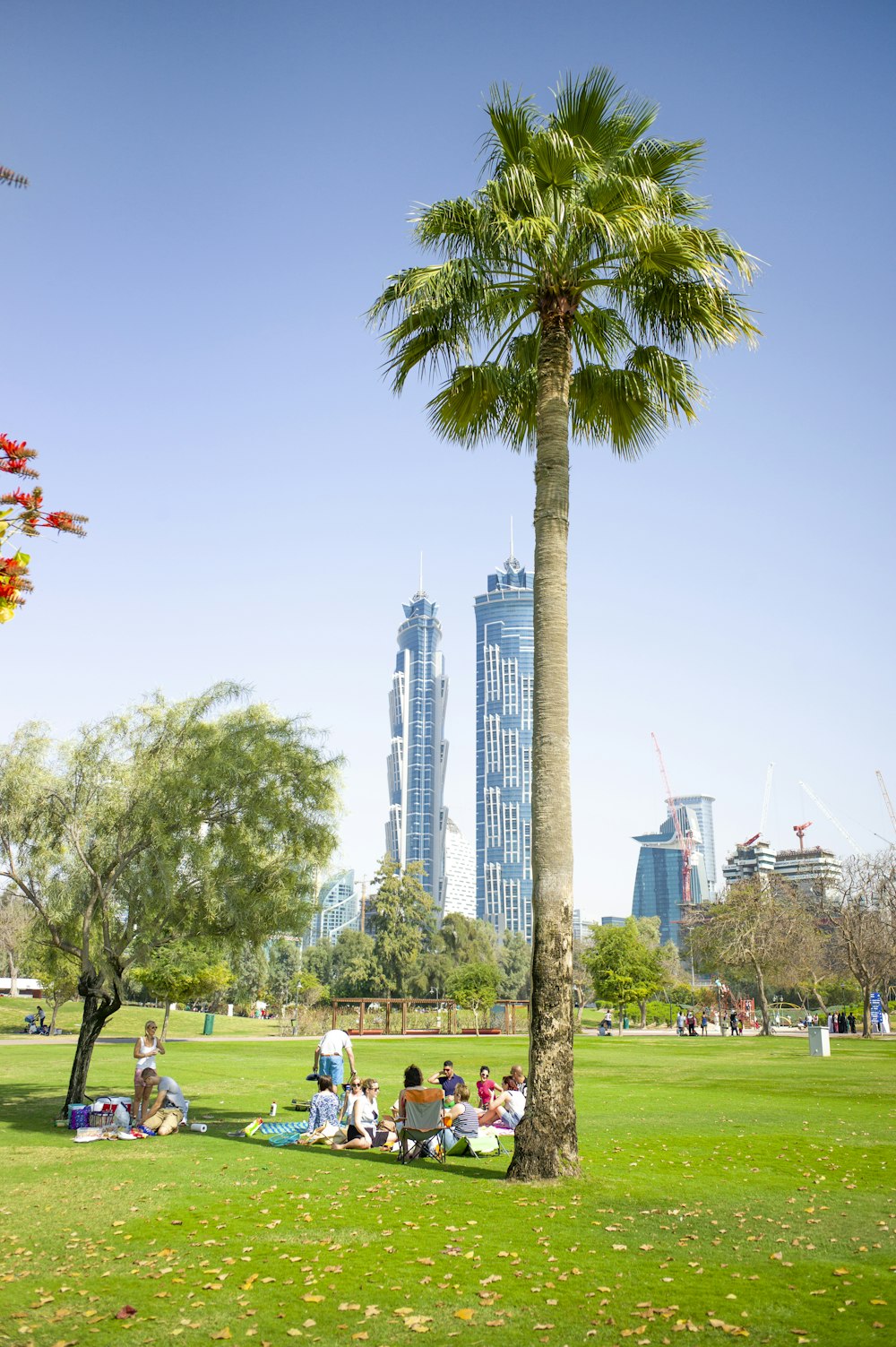 a group of people sitting under a palm tree