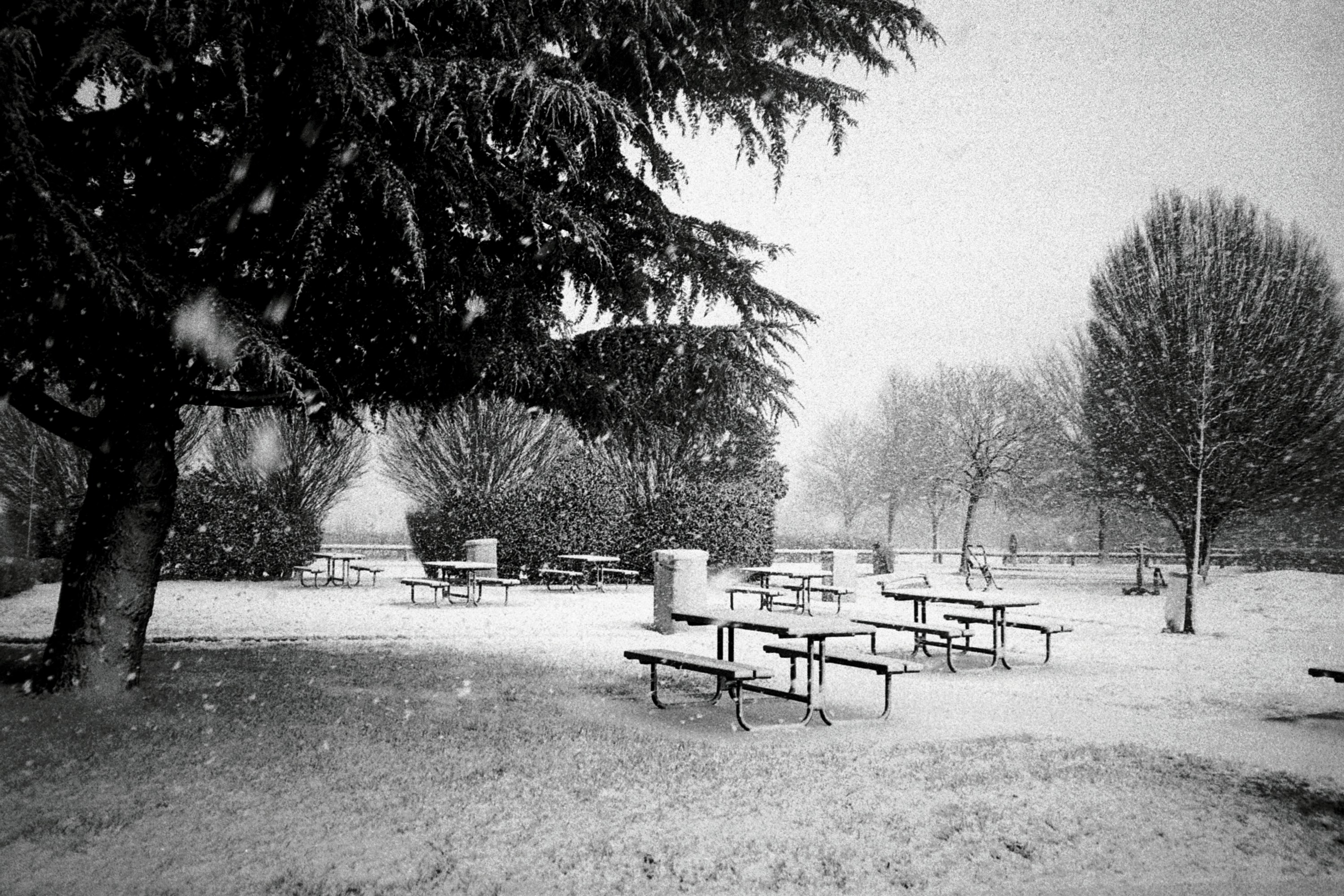 Photo by yasssine_rahaoui