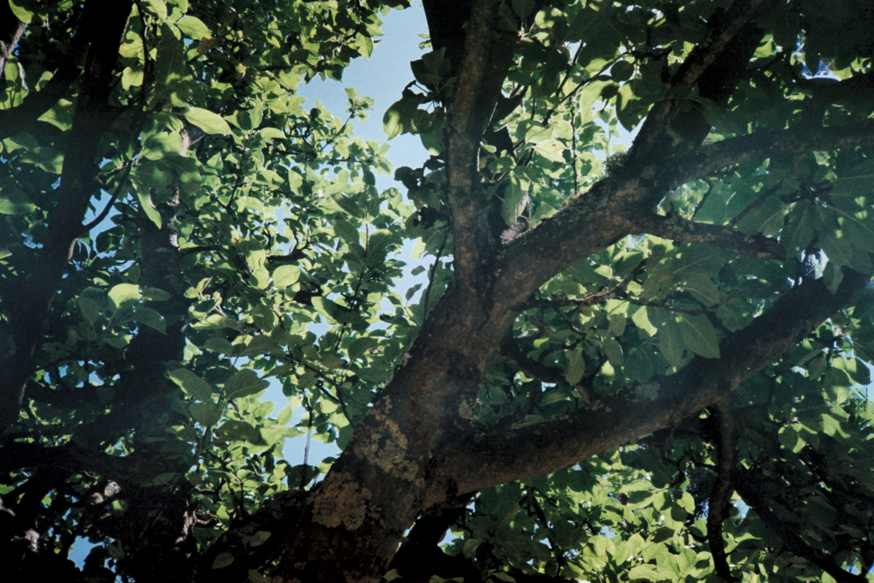 Photo by yasssine_rahaoui