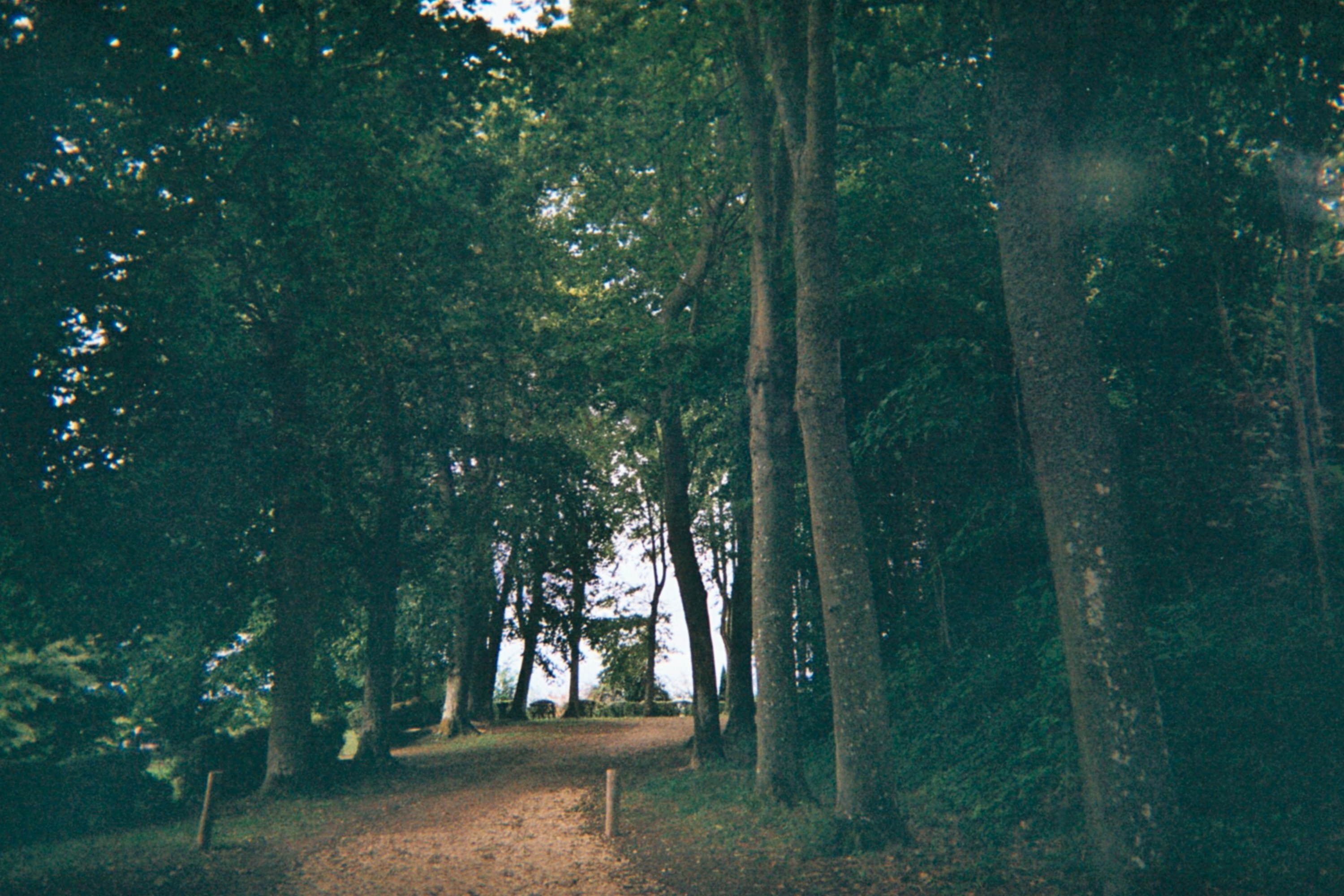 Photo by yasssine_rahaoui