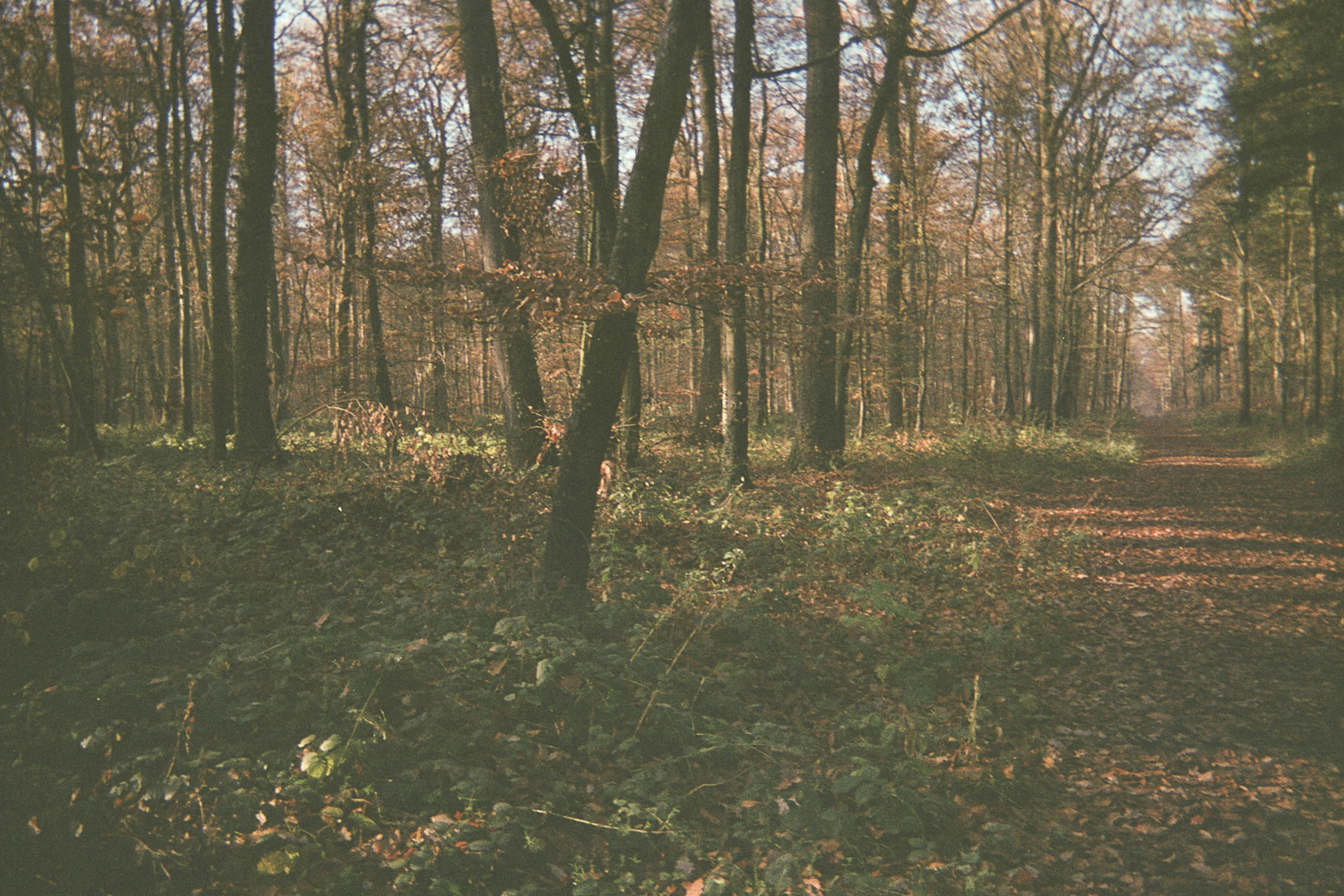 Photo by yasssine_rahaoui