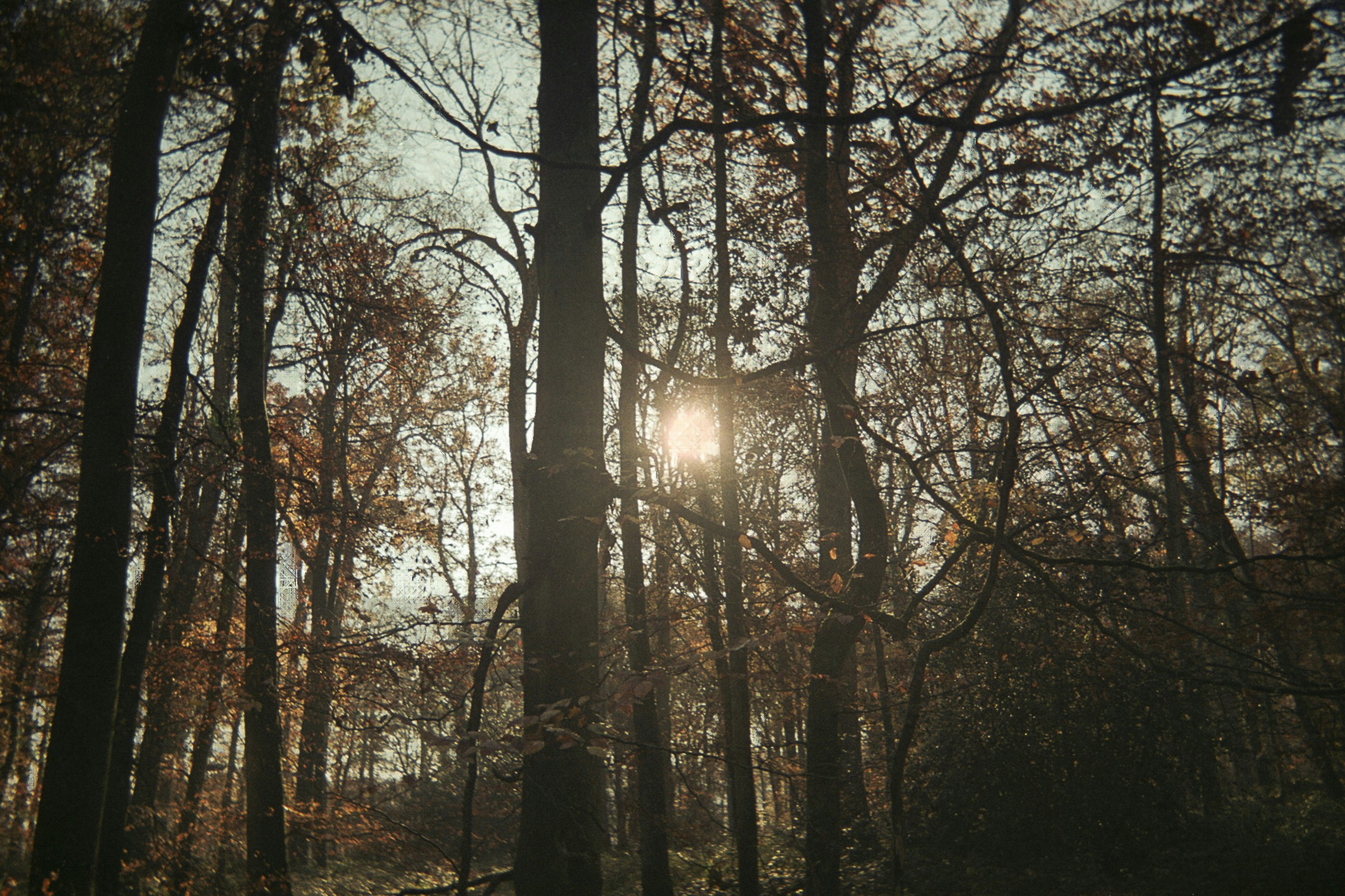 Photo by yasssine_rahaoui