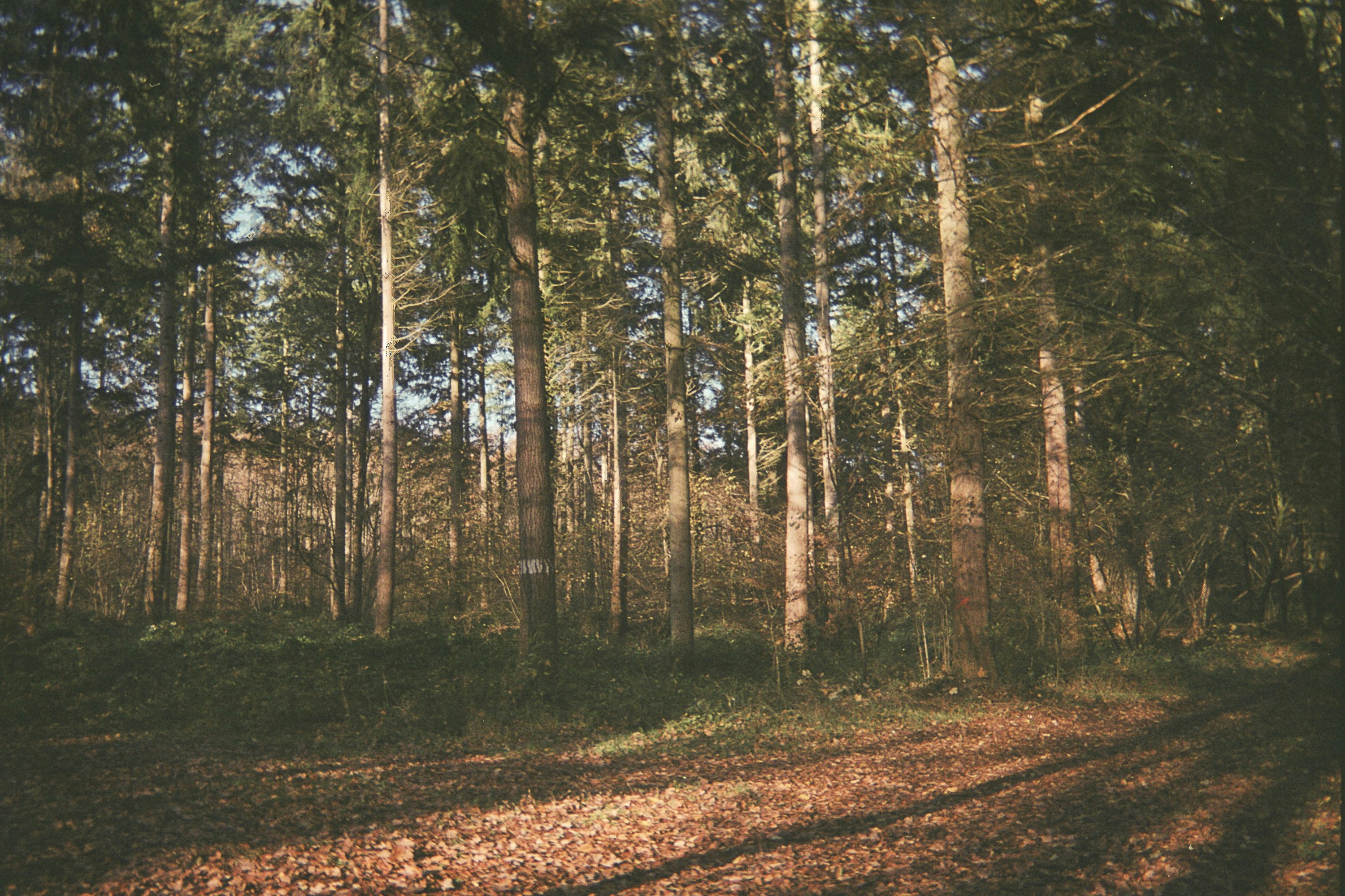 Photo by yasssine_rahaoui