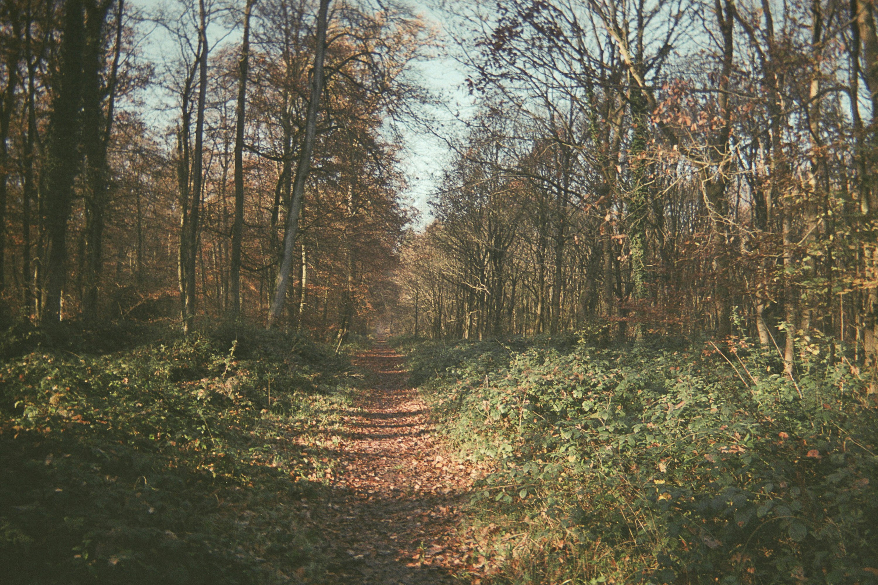 Photo by yasssine_rahaoui