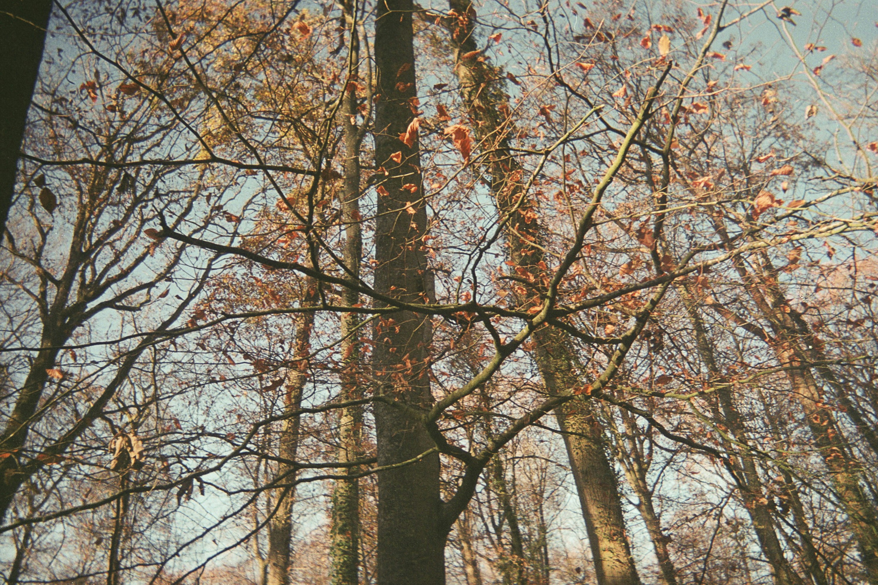 Photo by yasssine_rahaoui