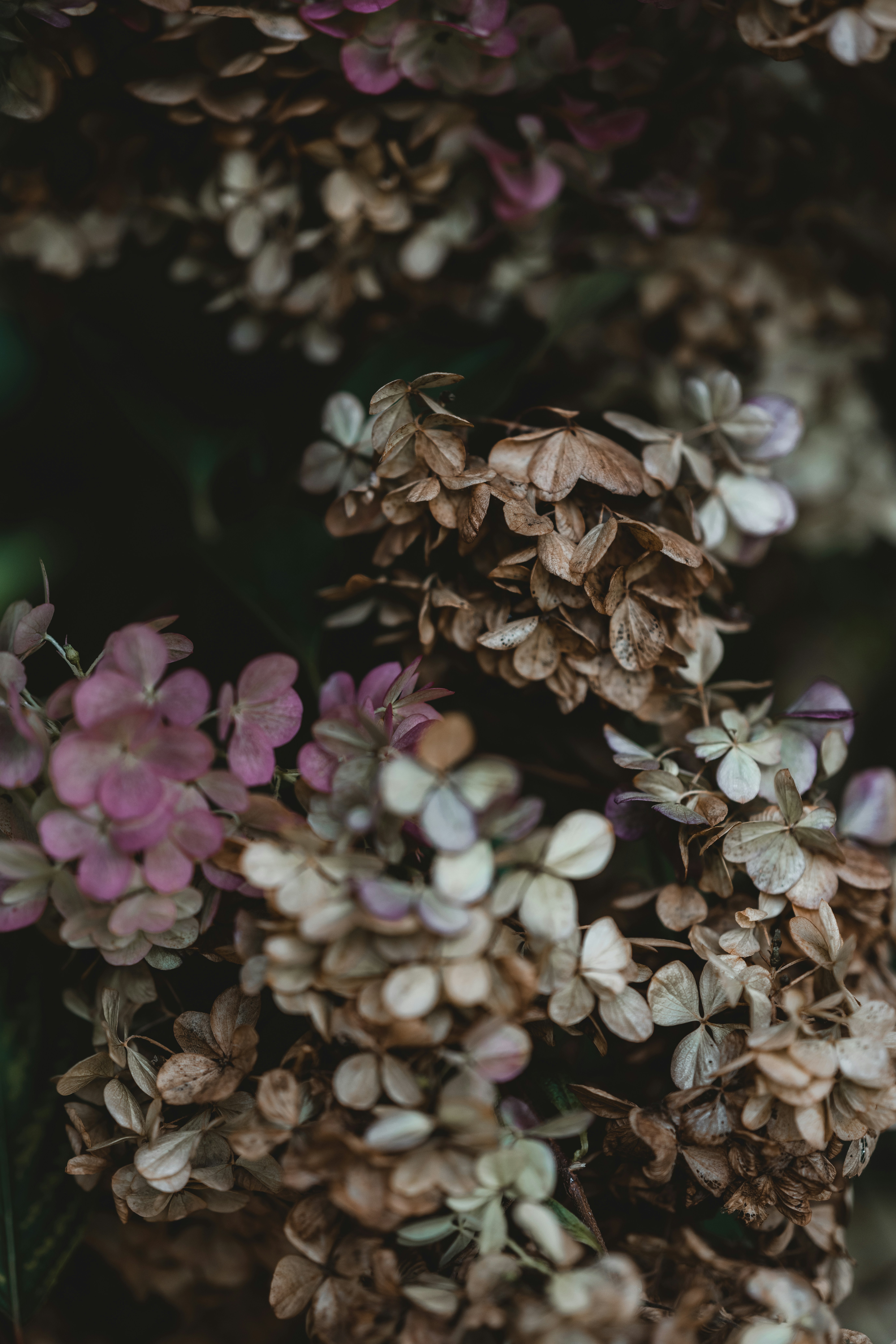 Photo by anniespratt