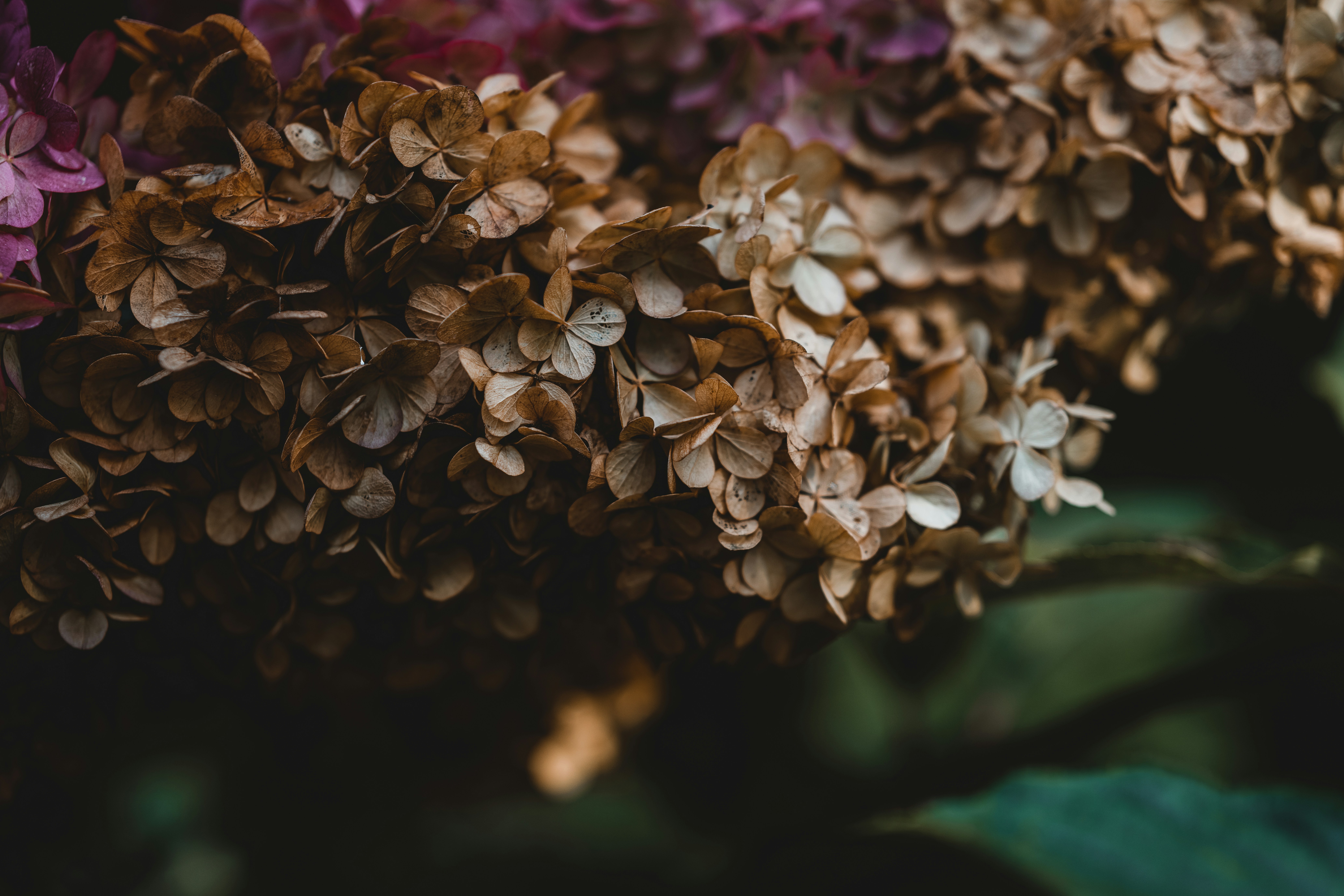 Photo by anniespratt