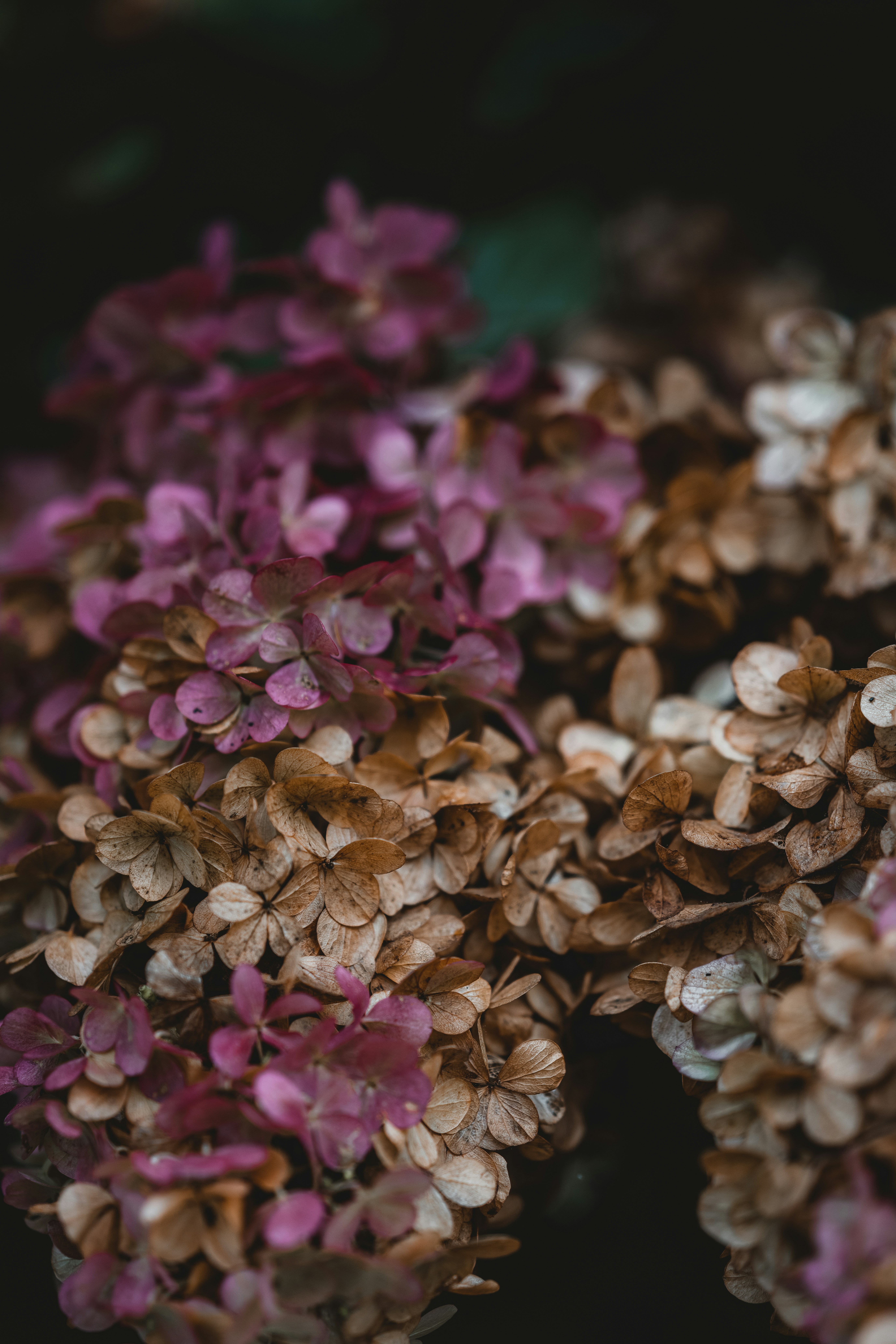 Photo by anniespratt