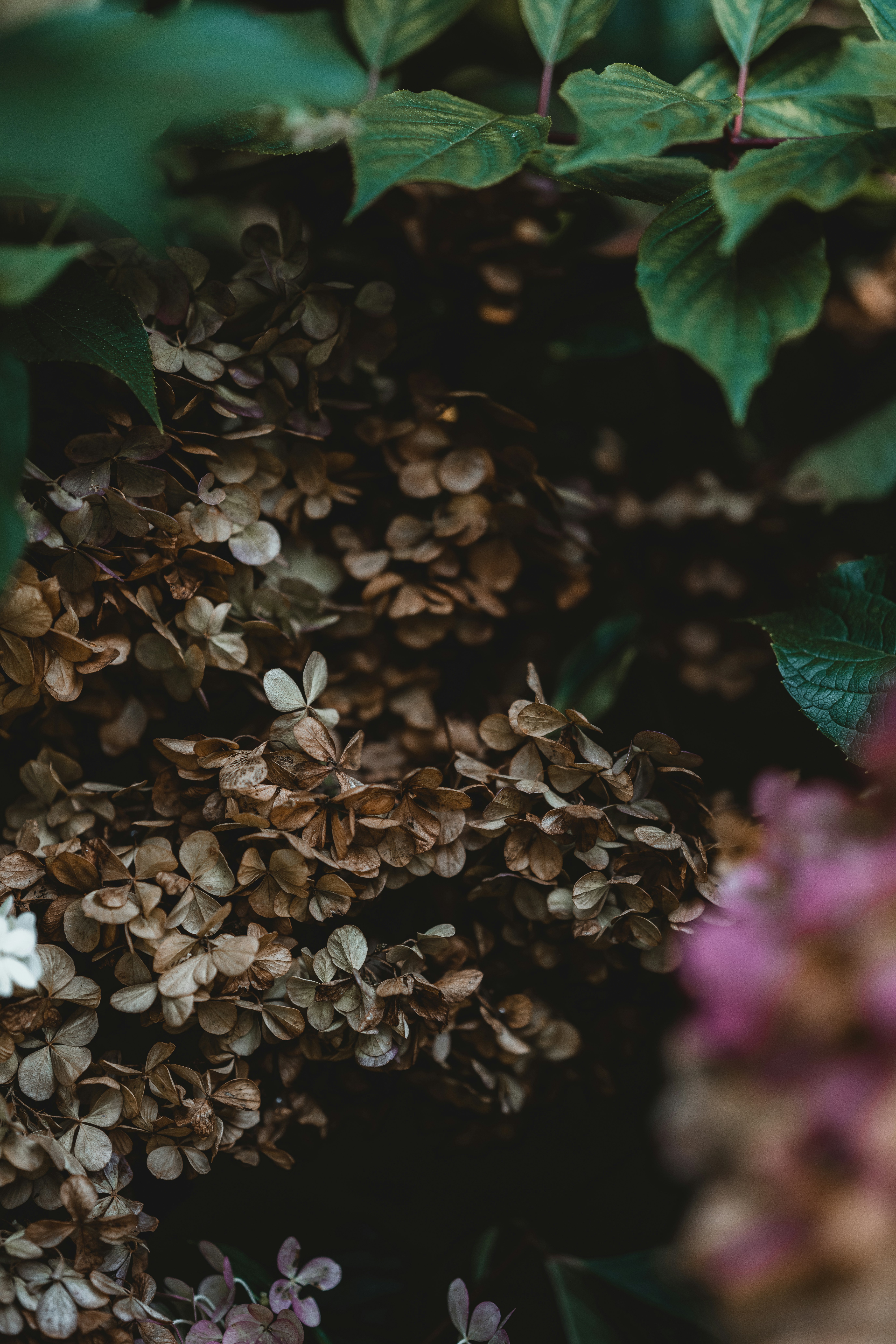 Photo by anniespratt