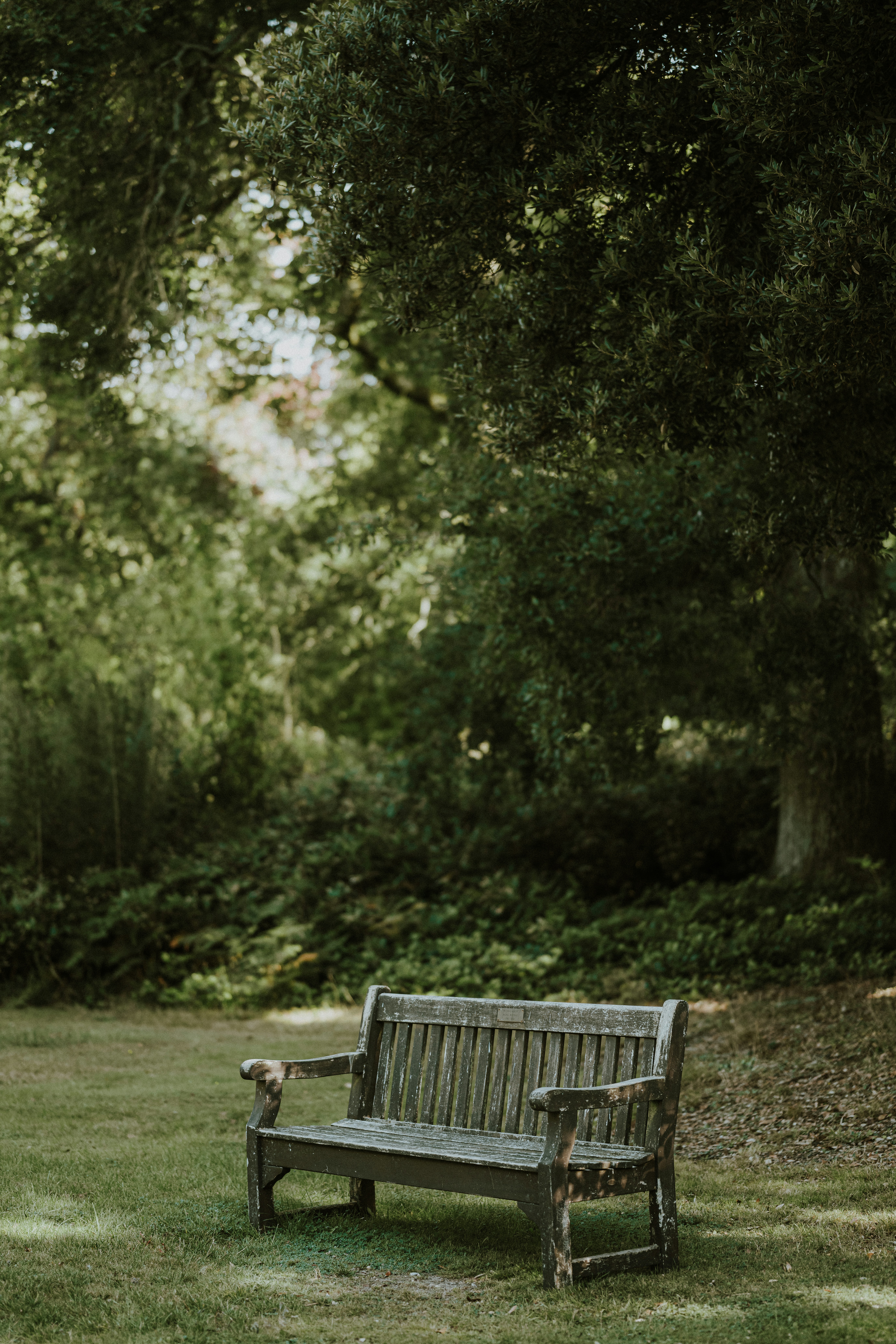un banc en bois assis au milieu d’un parc