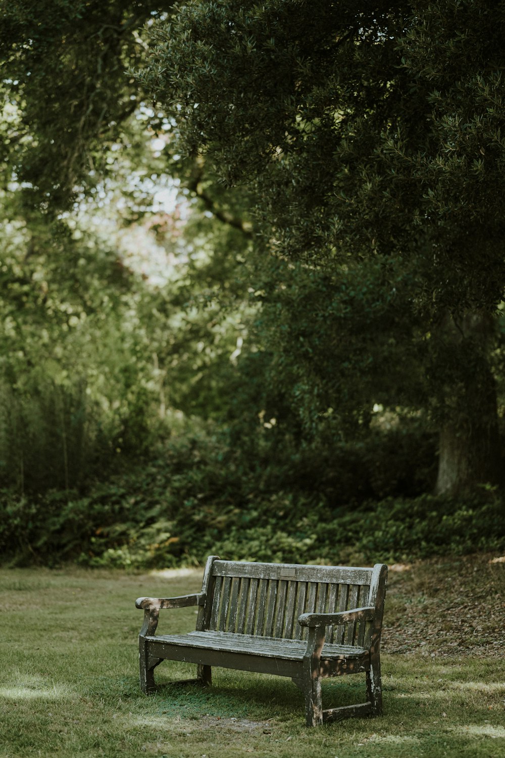 a wooden bench sitting in the middle of a park