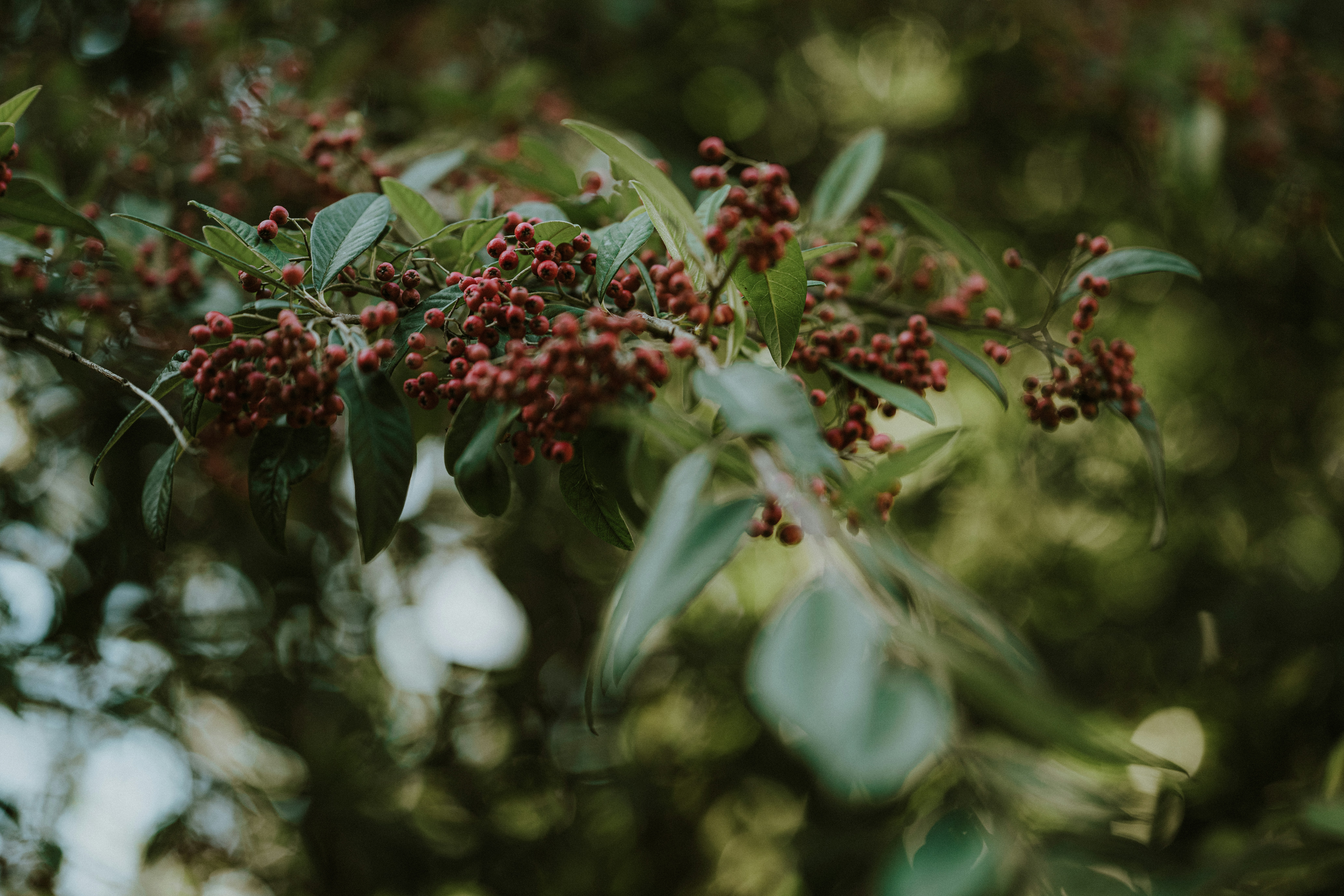 Photo by anniespratt