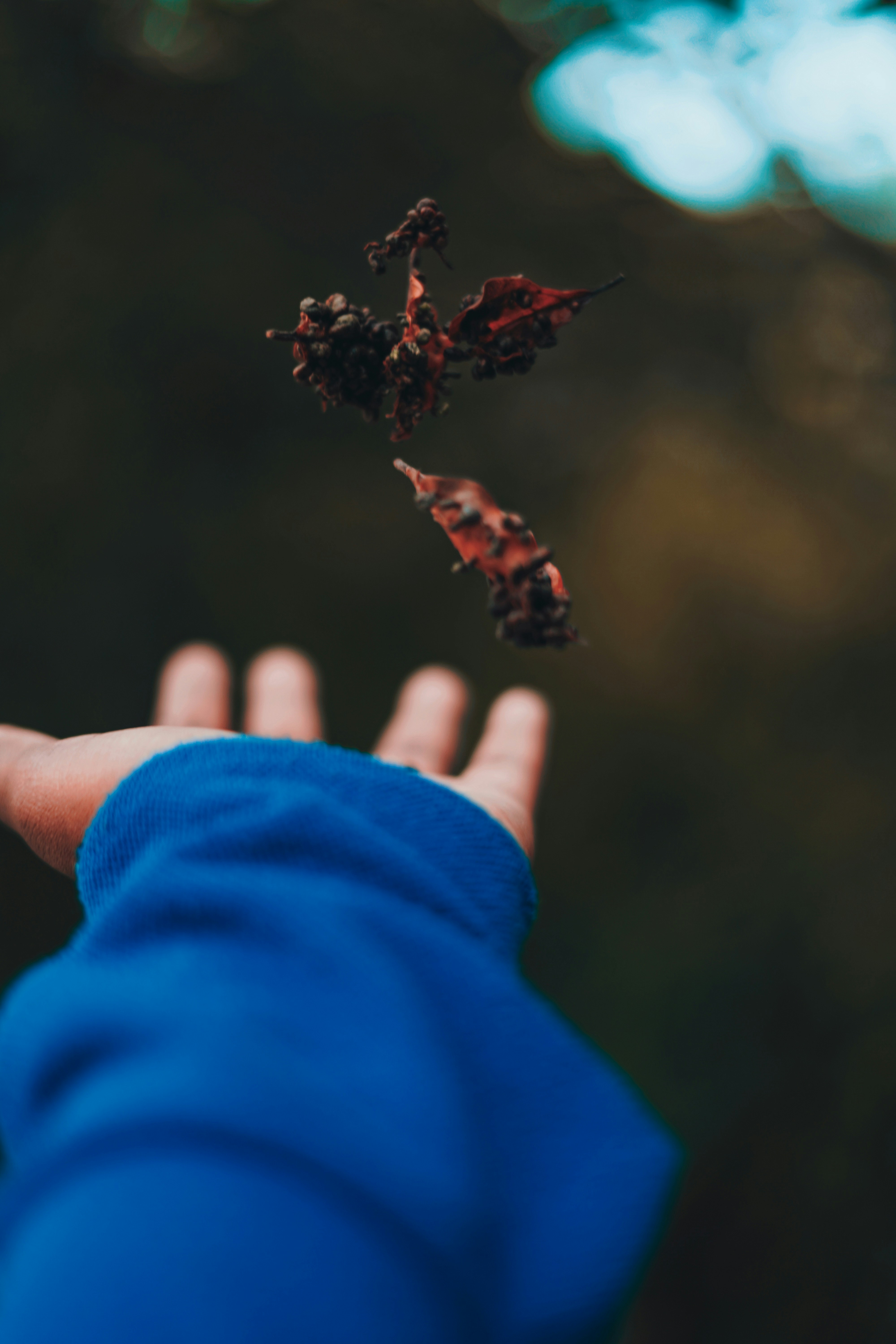 Photo by monishaselv