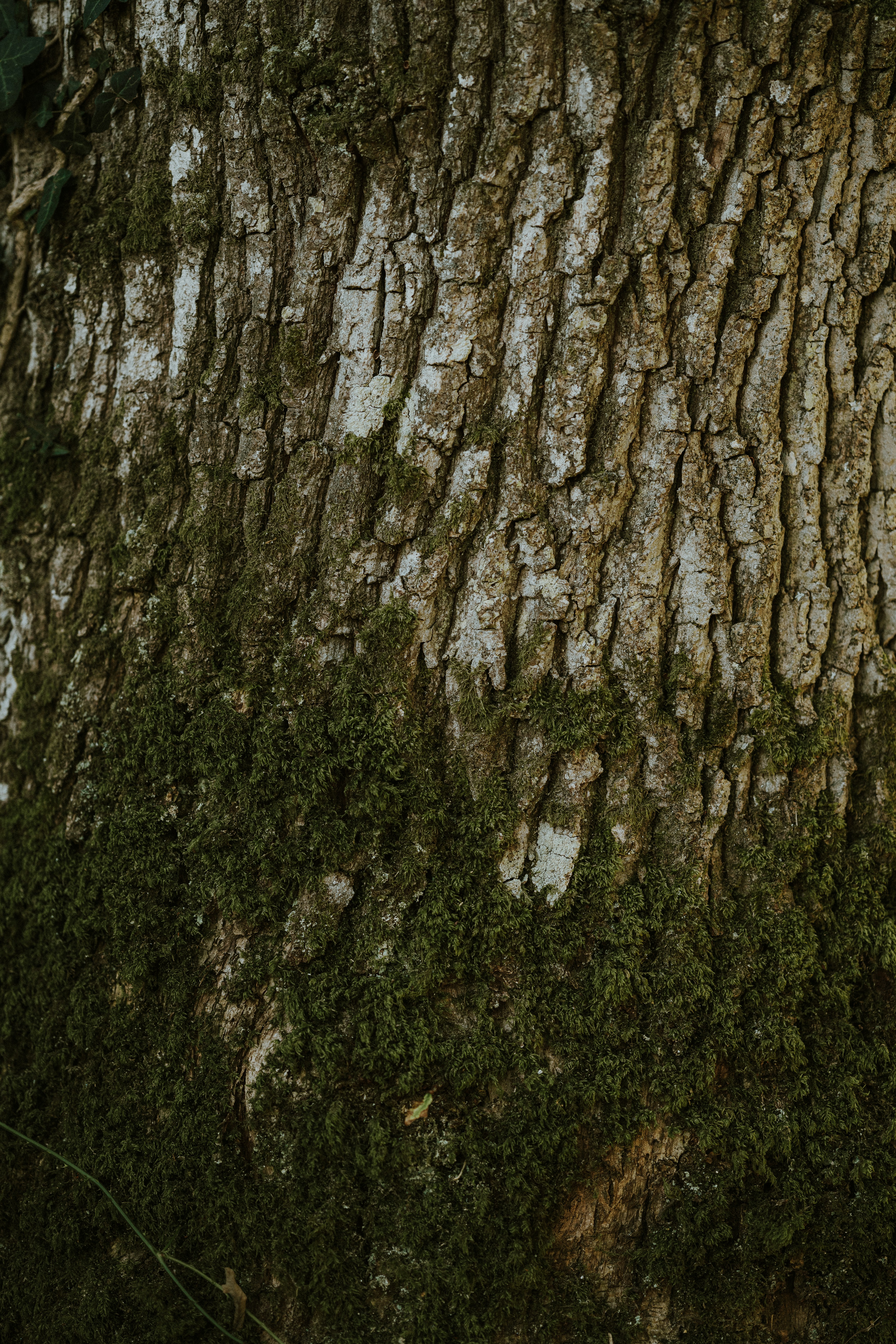 Photo by anniespratt