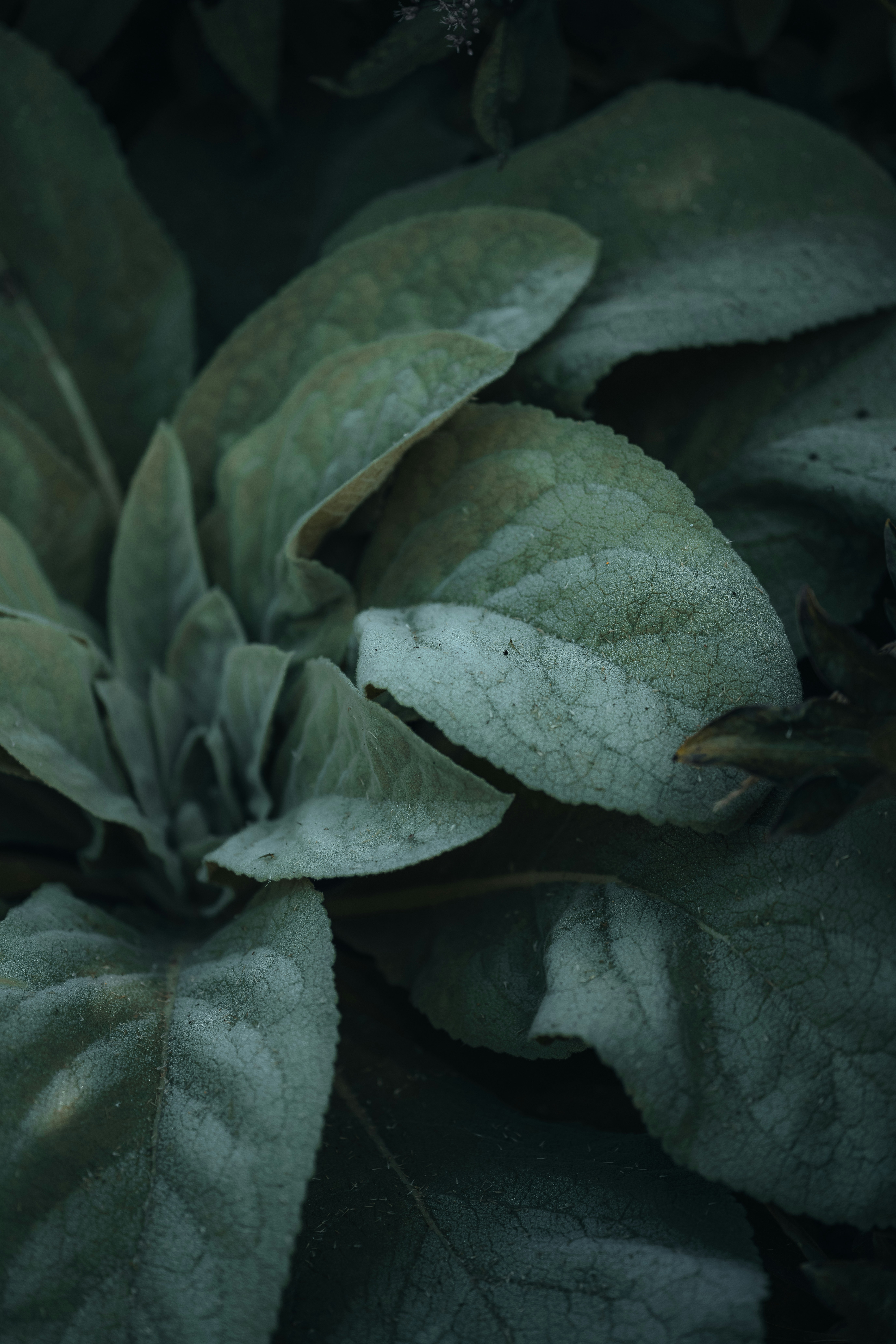 Photo by anniespratt