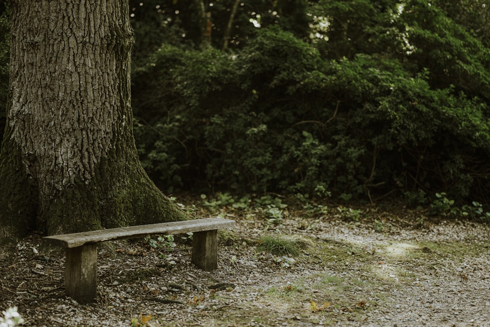 a wooden bench sitting next to a tree