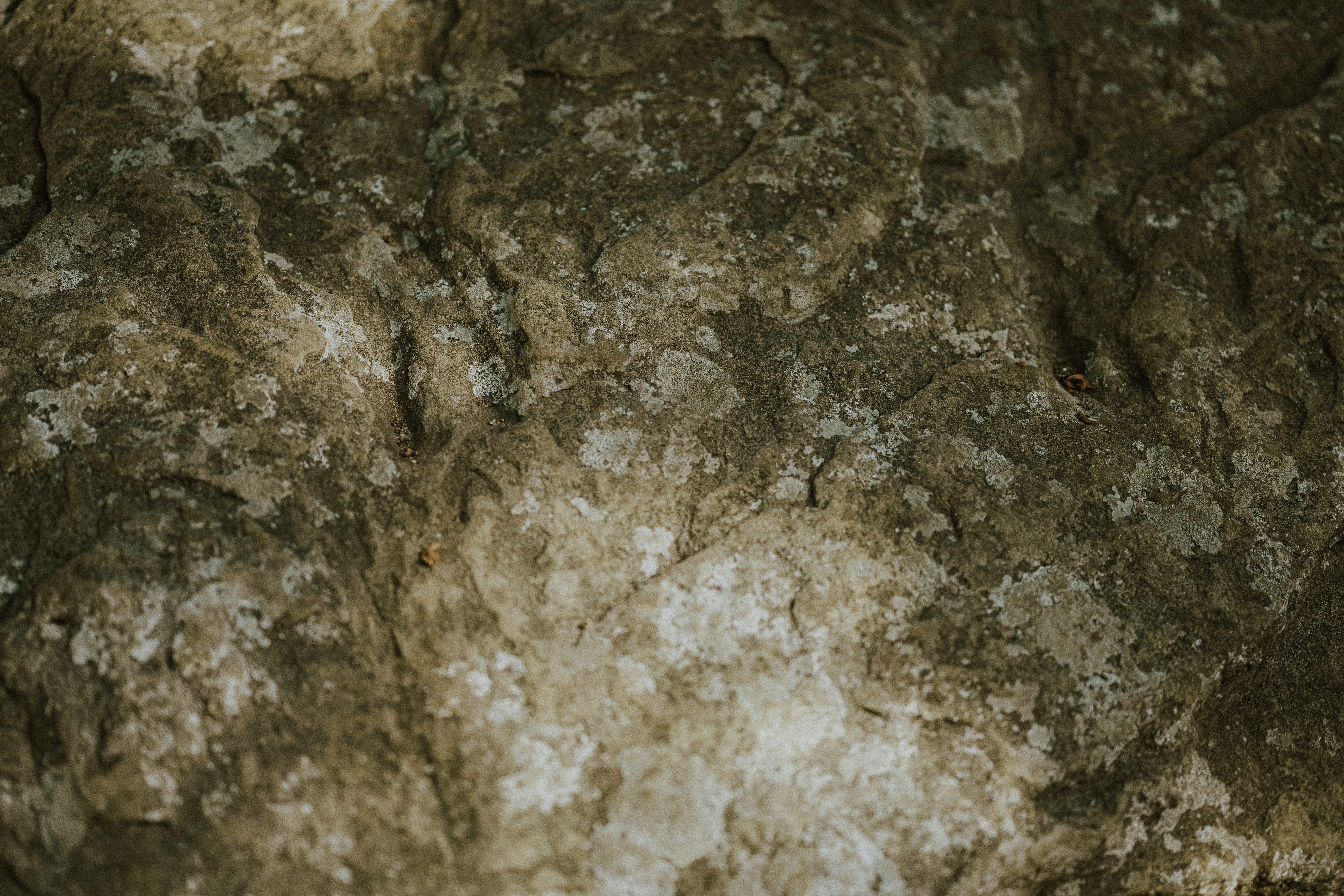 Photo by anniespratt