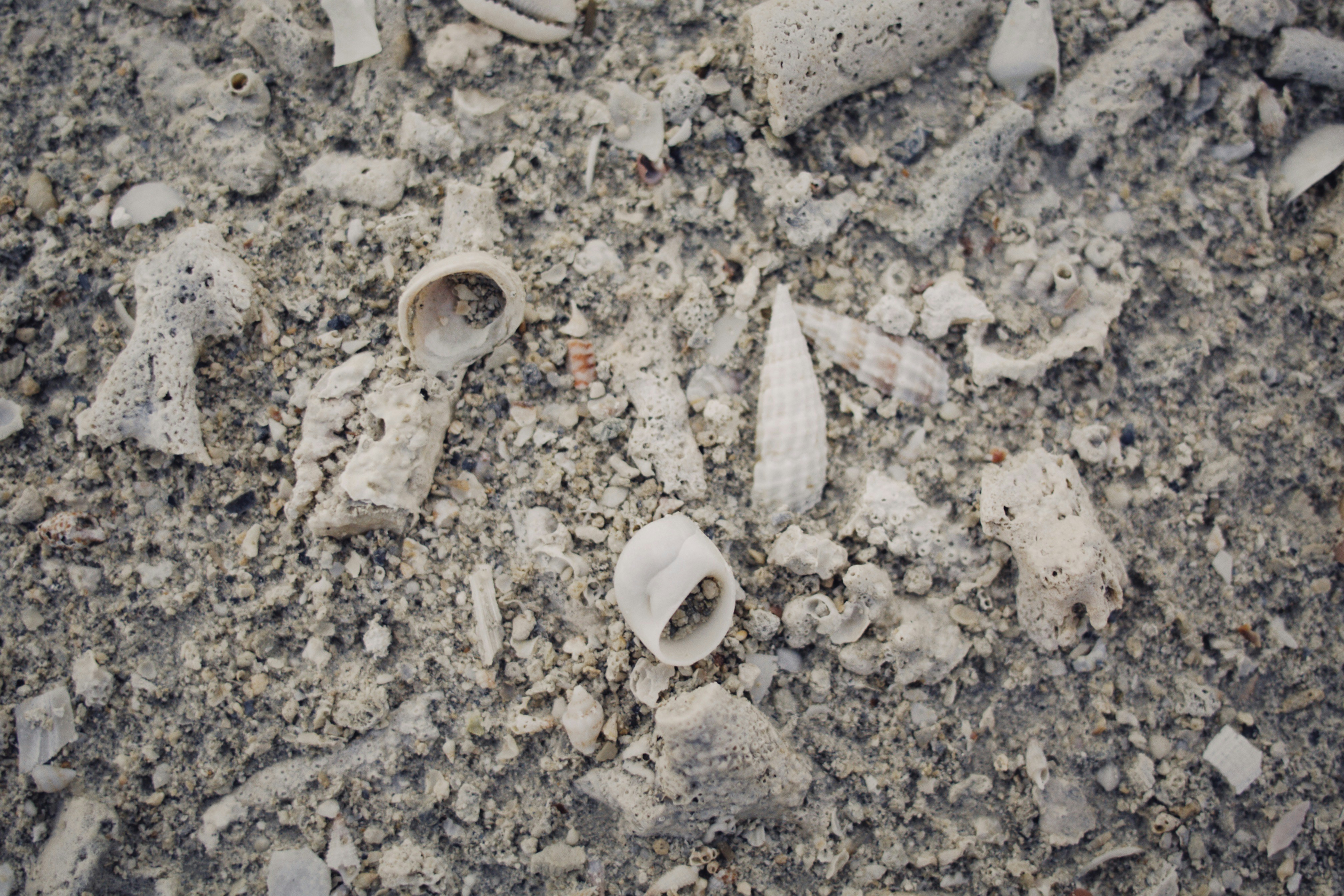 Photo by alexeydemidov