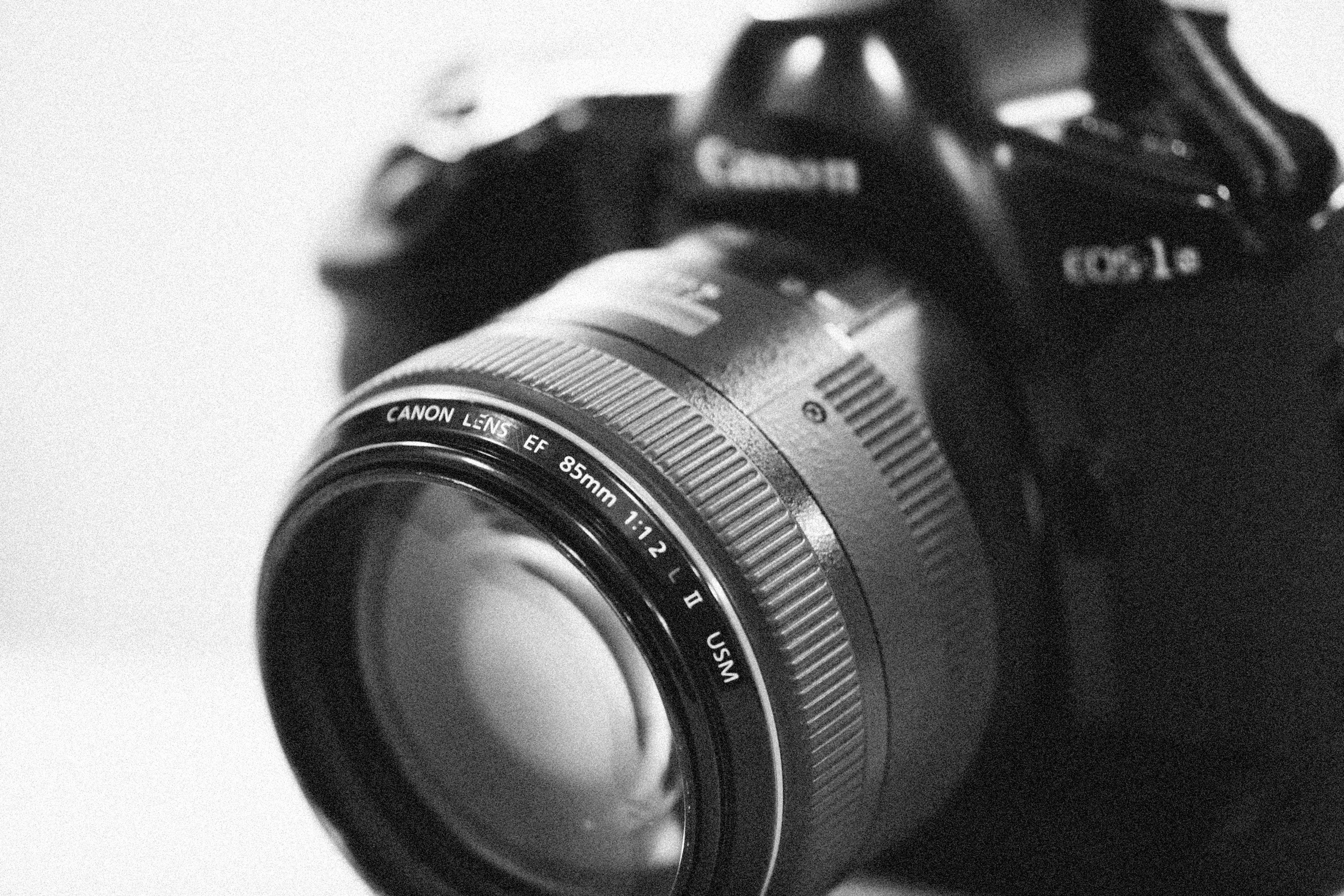 Photo by alexeydemidov