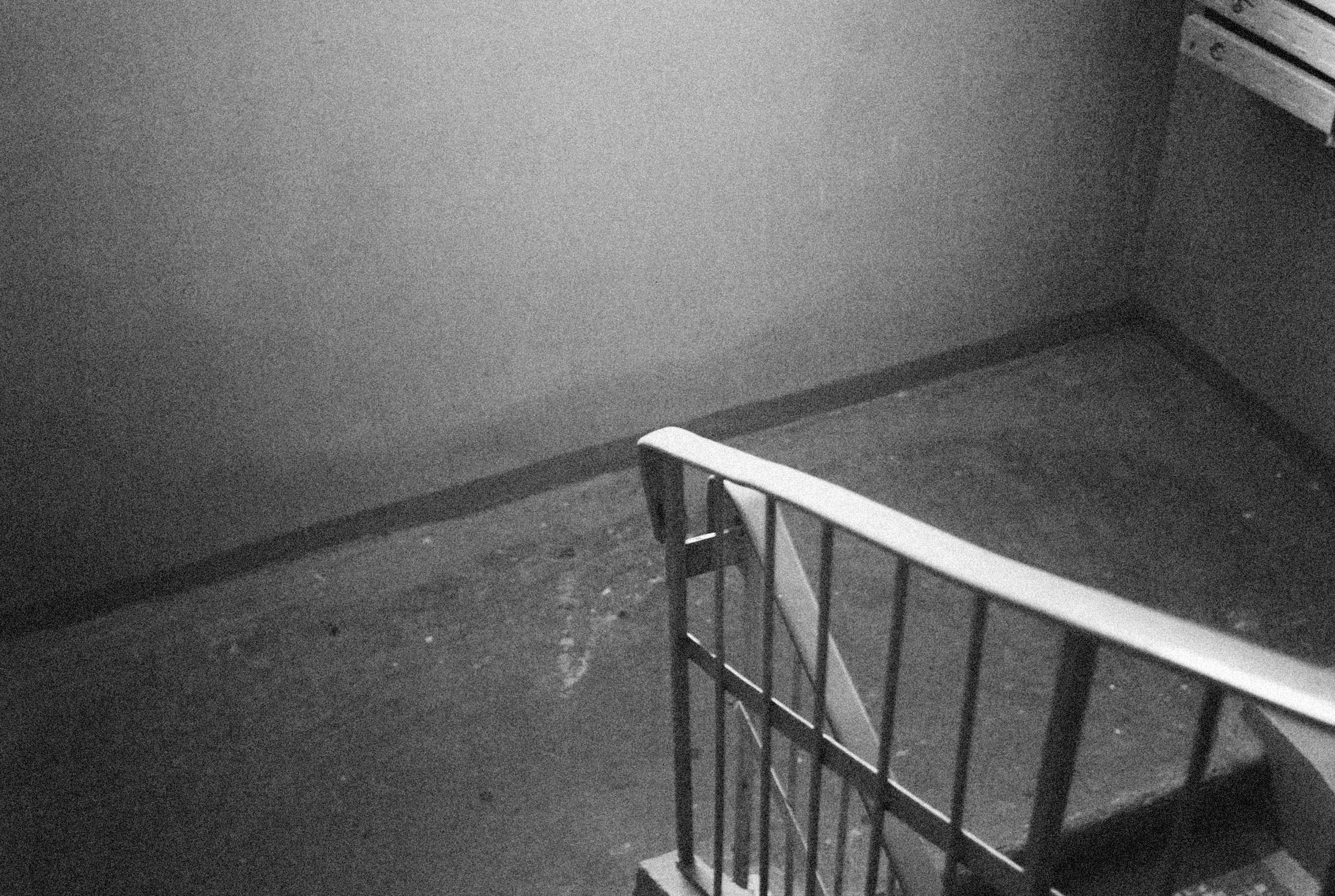 Photo by alexeydemidov