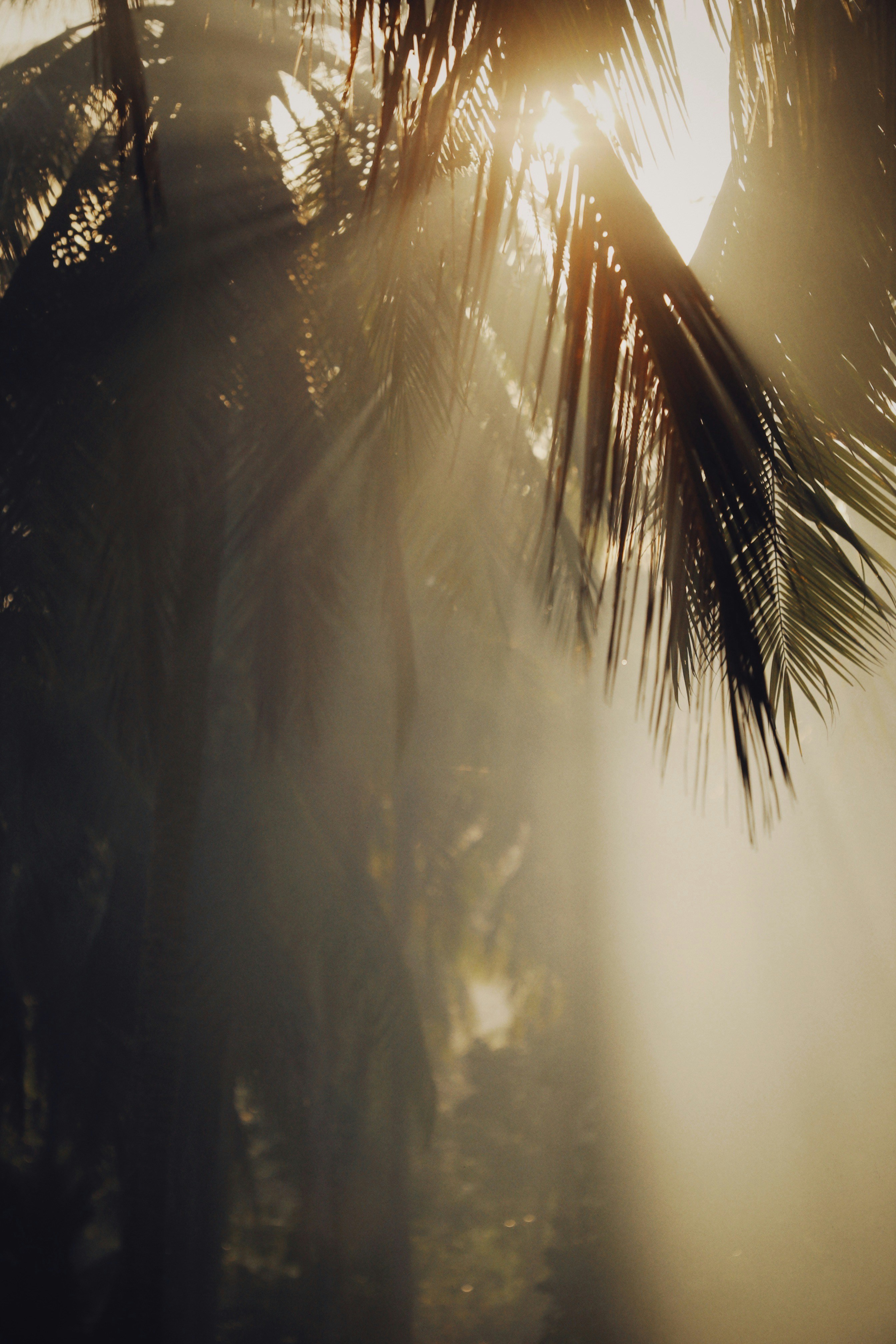 Photo by alexeydemidov