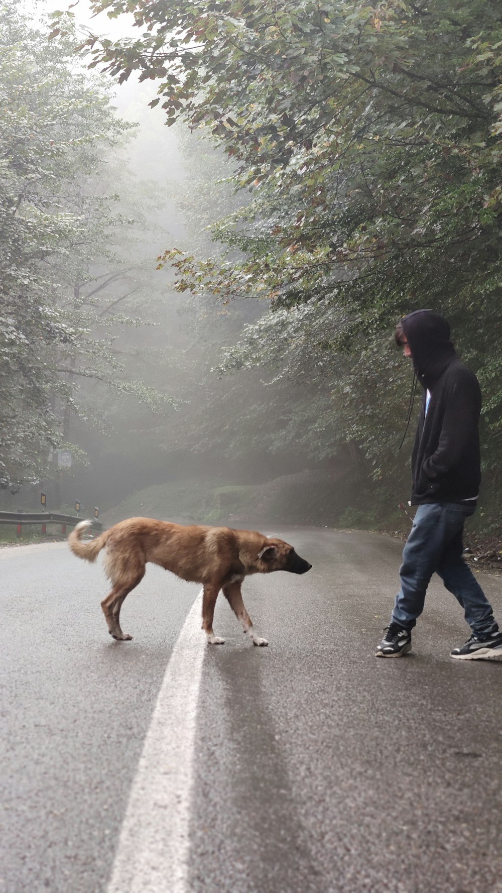 a man walking a dog on a foggy road
